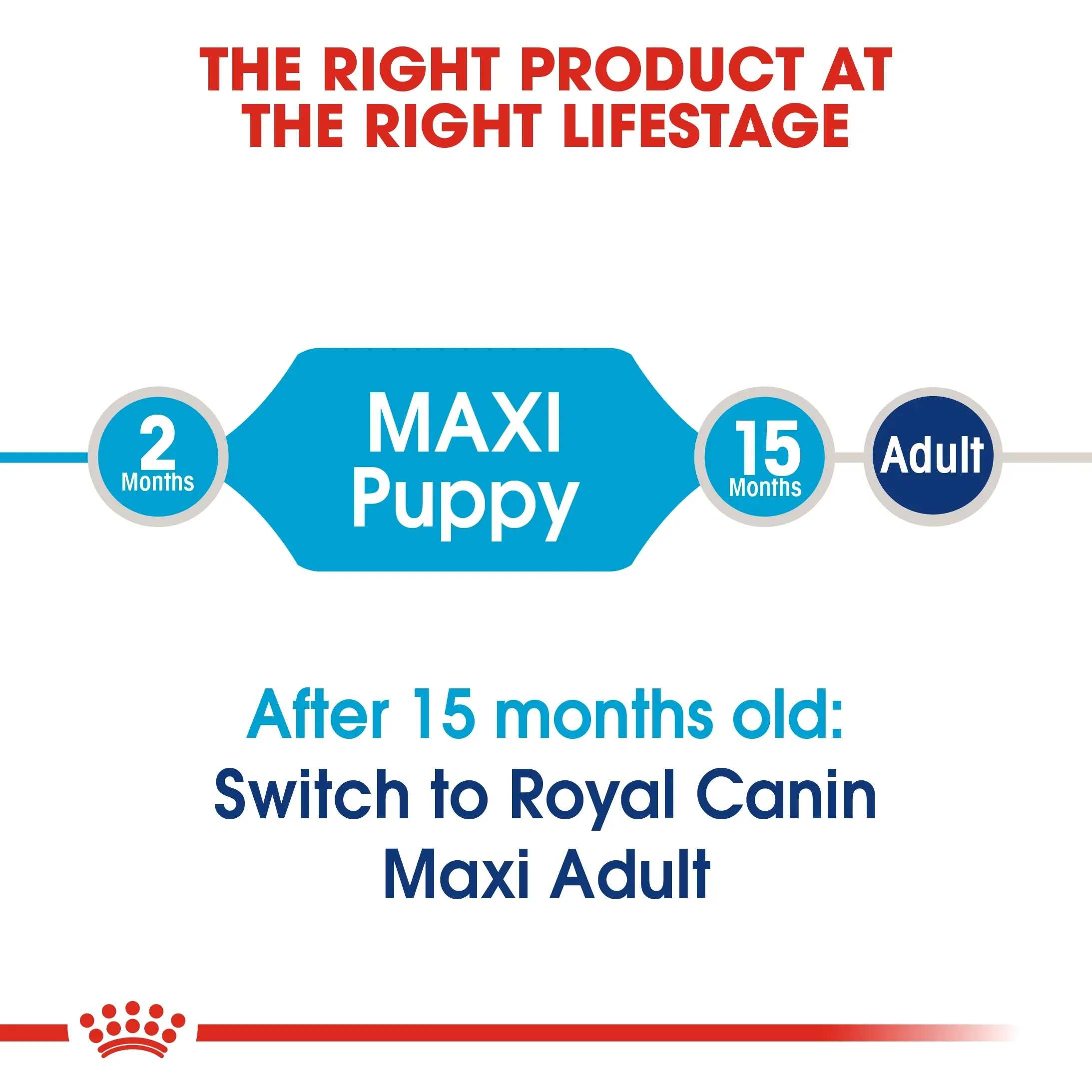 Royal Canin Maxi Puppy อาหารสำหรับลูกสุนัขพันธุ์ใหญ่