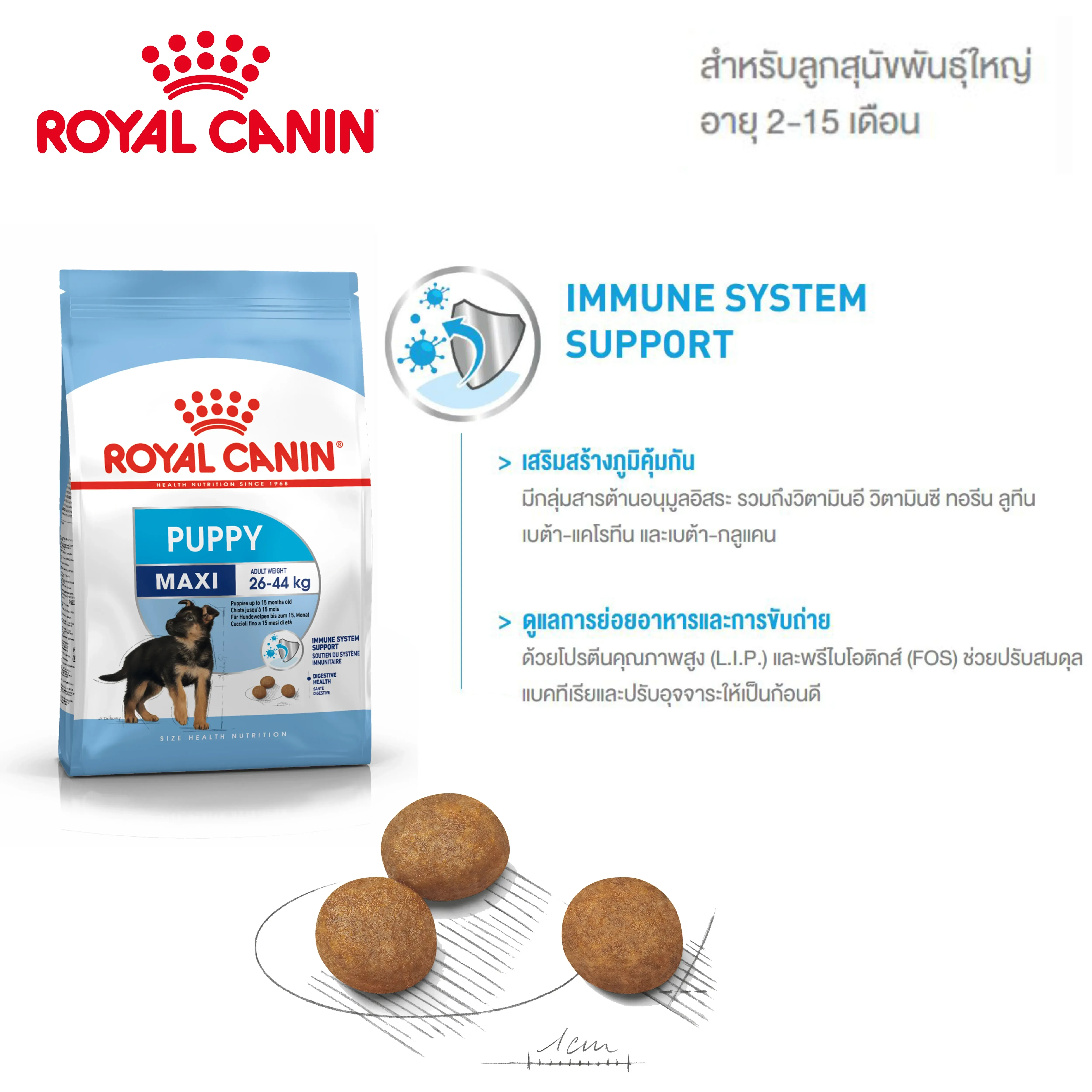 Royal Canin Maxi Puppy อาหารสำหรับลูกสุนัขพันธุ์ใหญ่