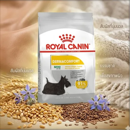Royal Canin Mini Dermacomfort อาหารสุนัขโตพันธุ์เล็ก สูตรผิวแพ้ง่าย