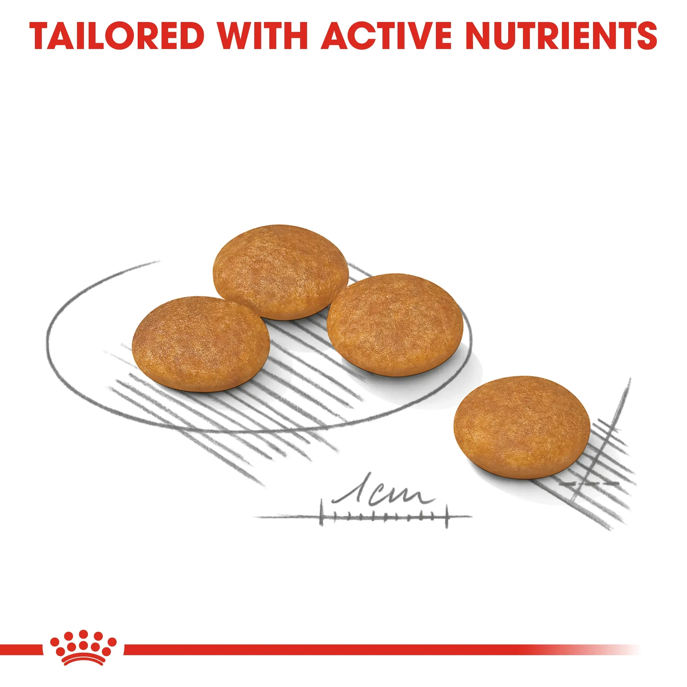 Royal Canin Mini Dermacomfort อาหารสุนัขโตพันธุ์เล็ก สูตรผิวแพ้ง่าย