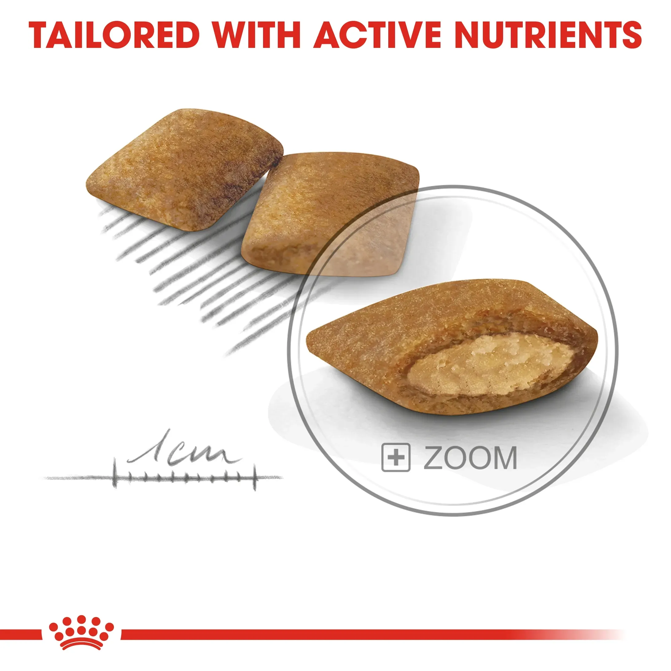Royal Canin Mini Exigent Adult อาหารเม็ดสำหรับสุนัขโตพันธุ์เล็ก สูตรสุนัขทานยาก