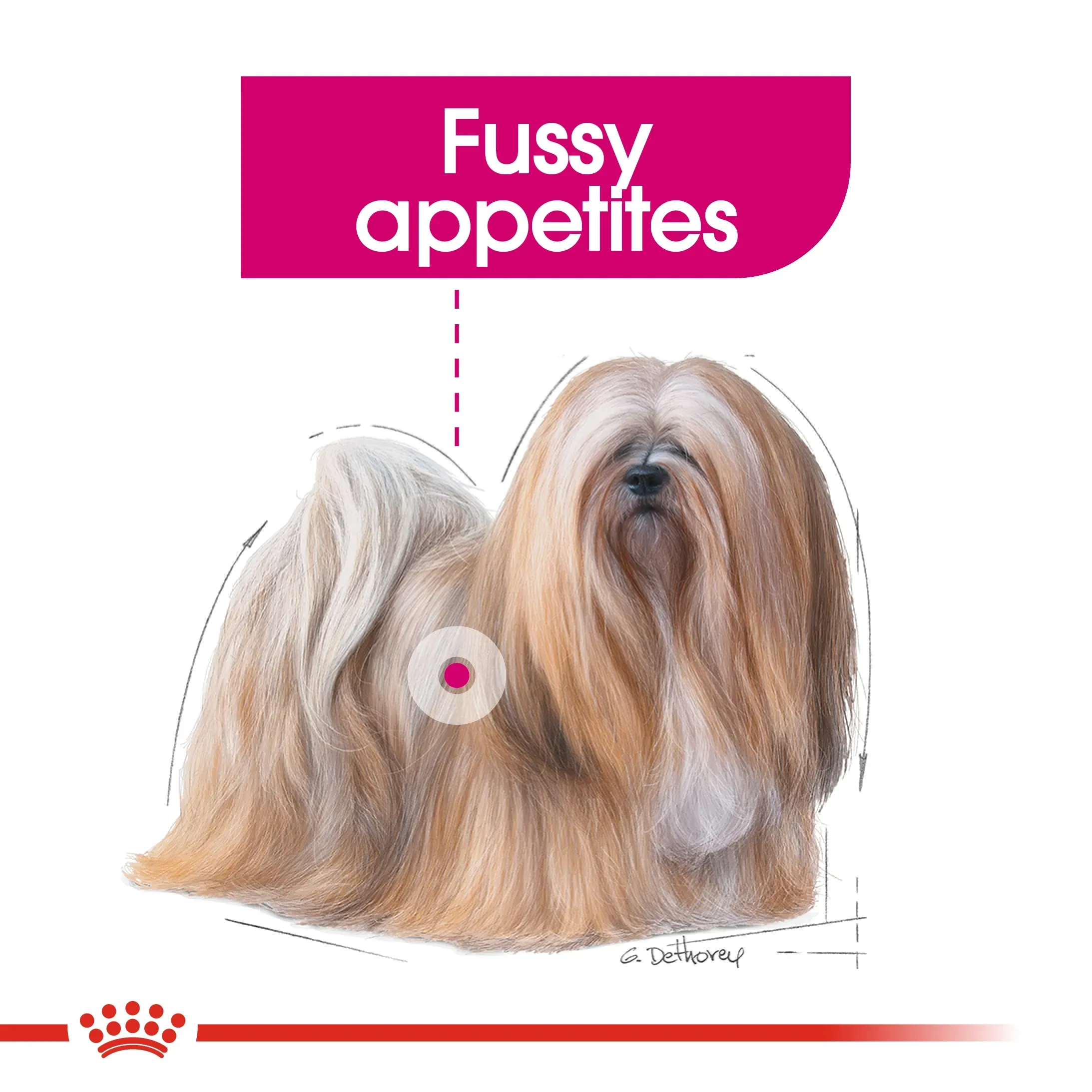 Royal Canin Mini Exigent Adult อาหารเม็ดสำหรับสุนัขโตพันธุ์เล็ก สูตรสุนัขทานยาก