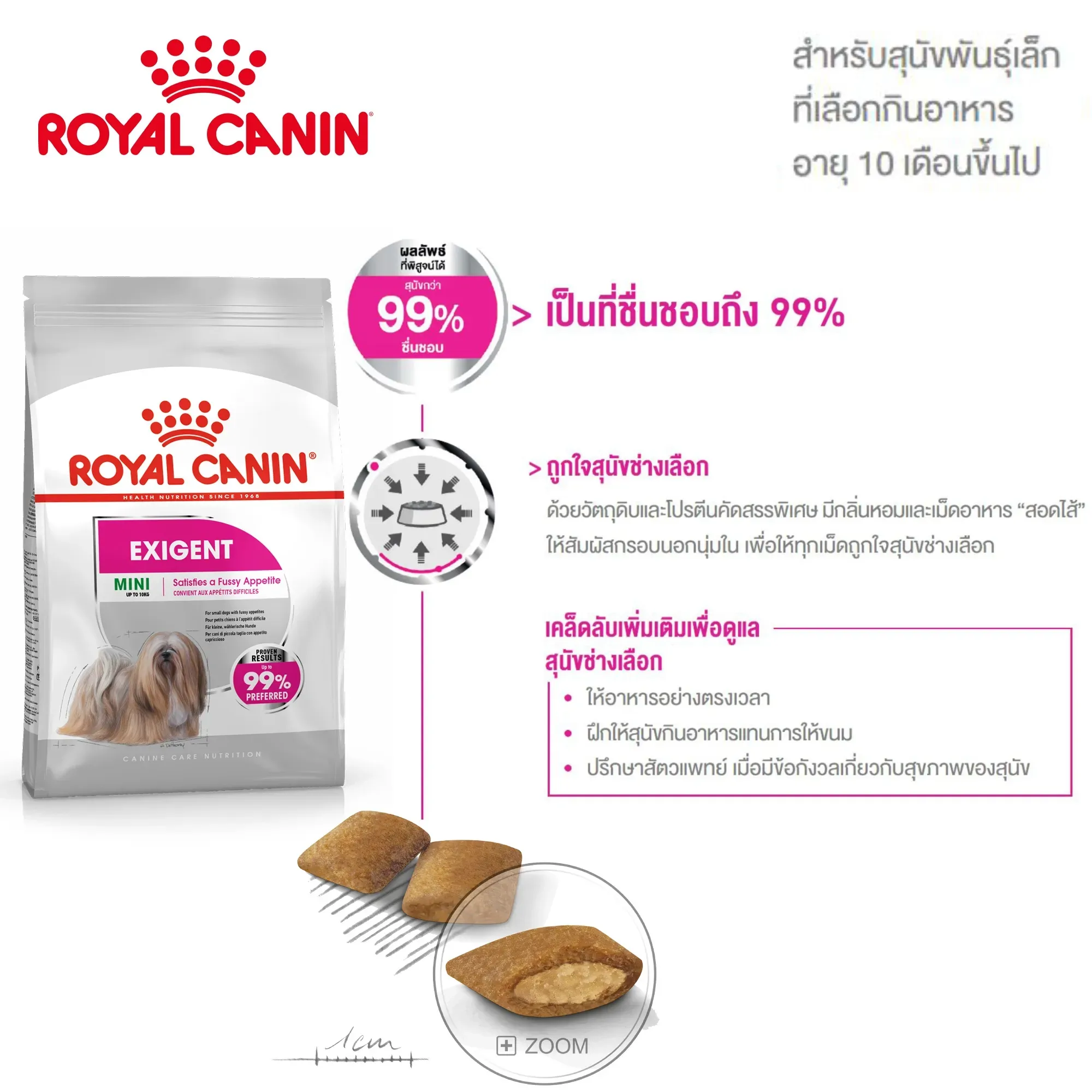 Royal Canin Mini Exigent Adult อาหารเม็ดสำหรับสุนัขโตพันธุ์เล็ก สูตรสุนัขทานยาก