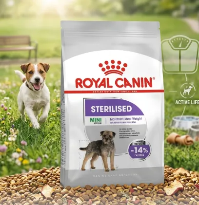 Royal Canin Mini Sterilised Adult อาหารเม็ดสำหรับสุนัขโตพันธุ์เล็ก สูตรทำหมัน