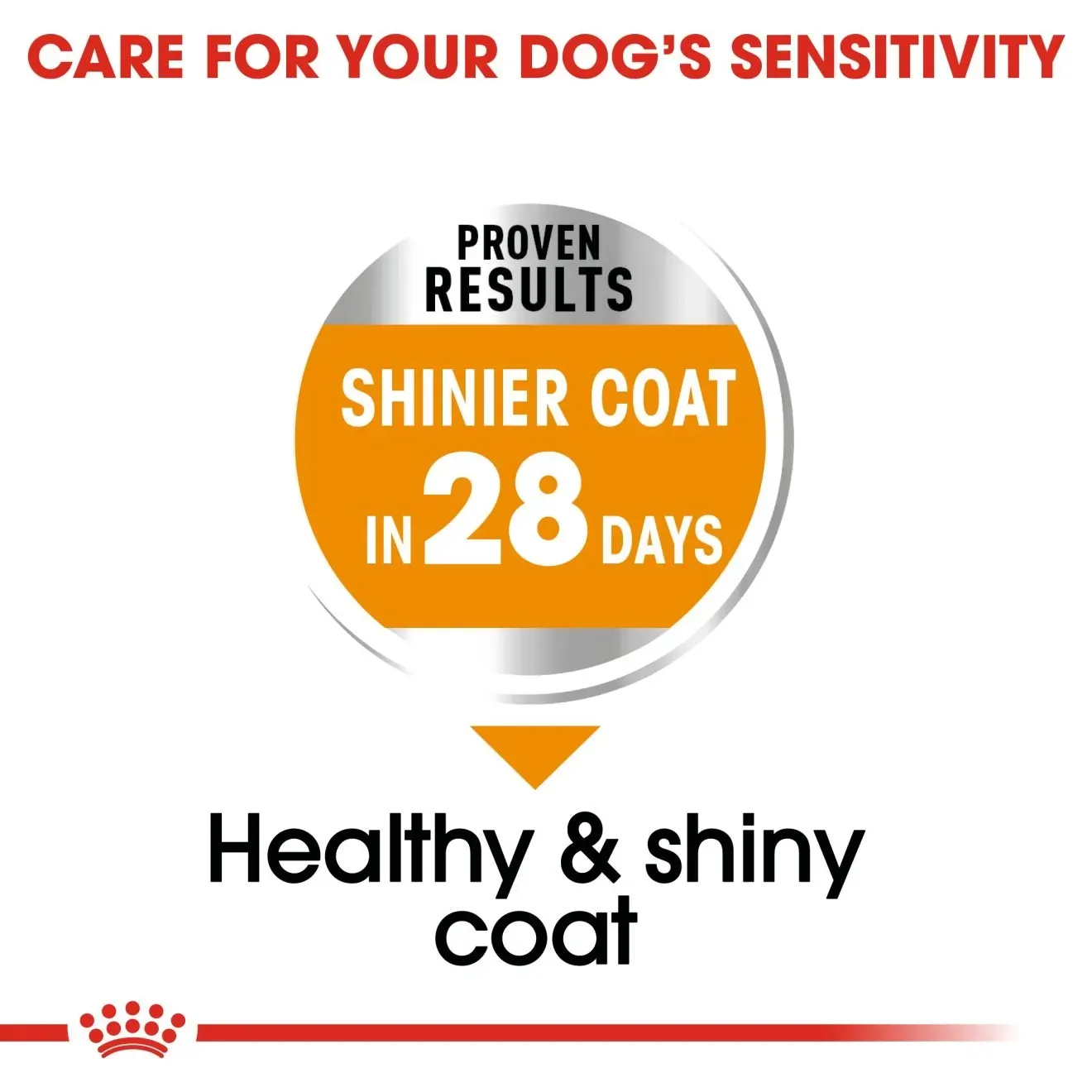 Royal Canin Mini Coat Care Adult อาหารเม็ดสำหรับสุนัขโตพันธุ์เล็ก สูตรบำรุงขน