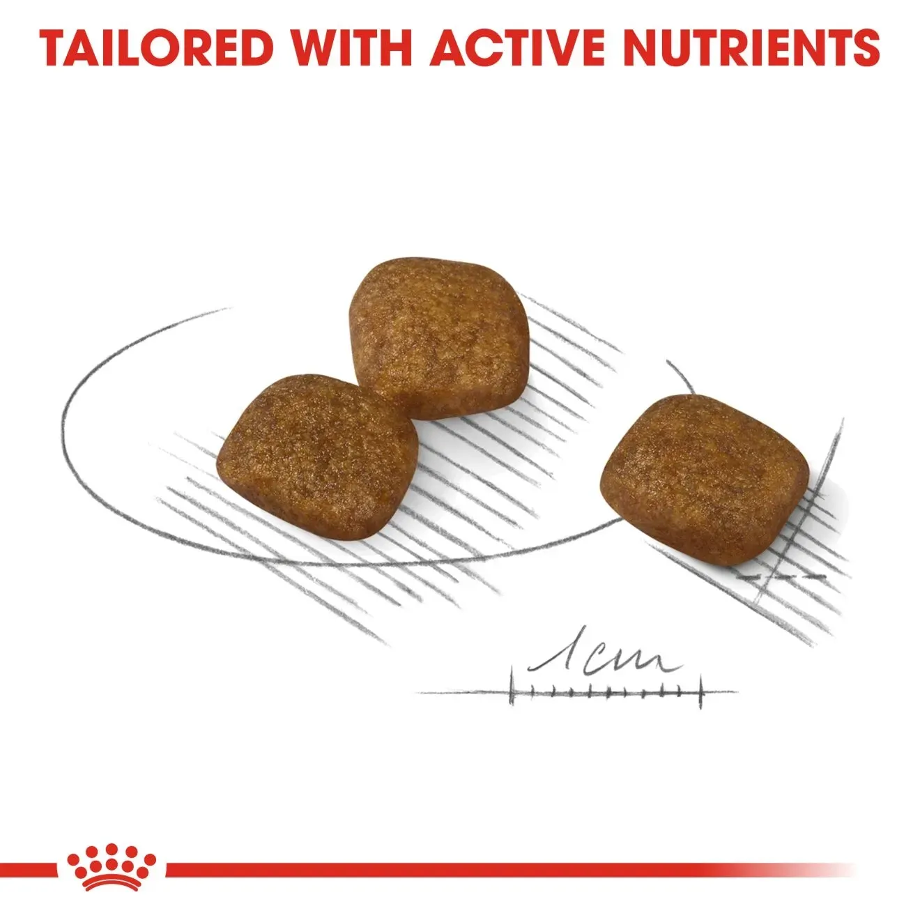 Royal Canin Mini Coat Care Adult อาหารเม็ดสำหรับสุนัขโตพันธุ์เล็ก สูตรบำรุงขน