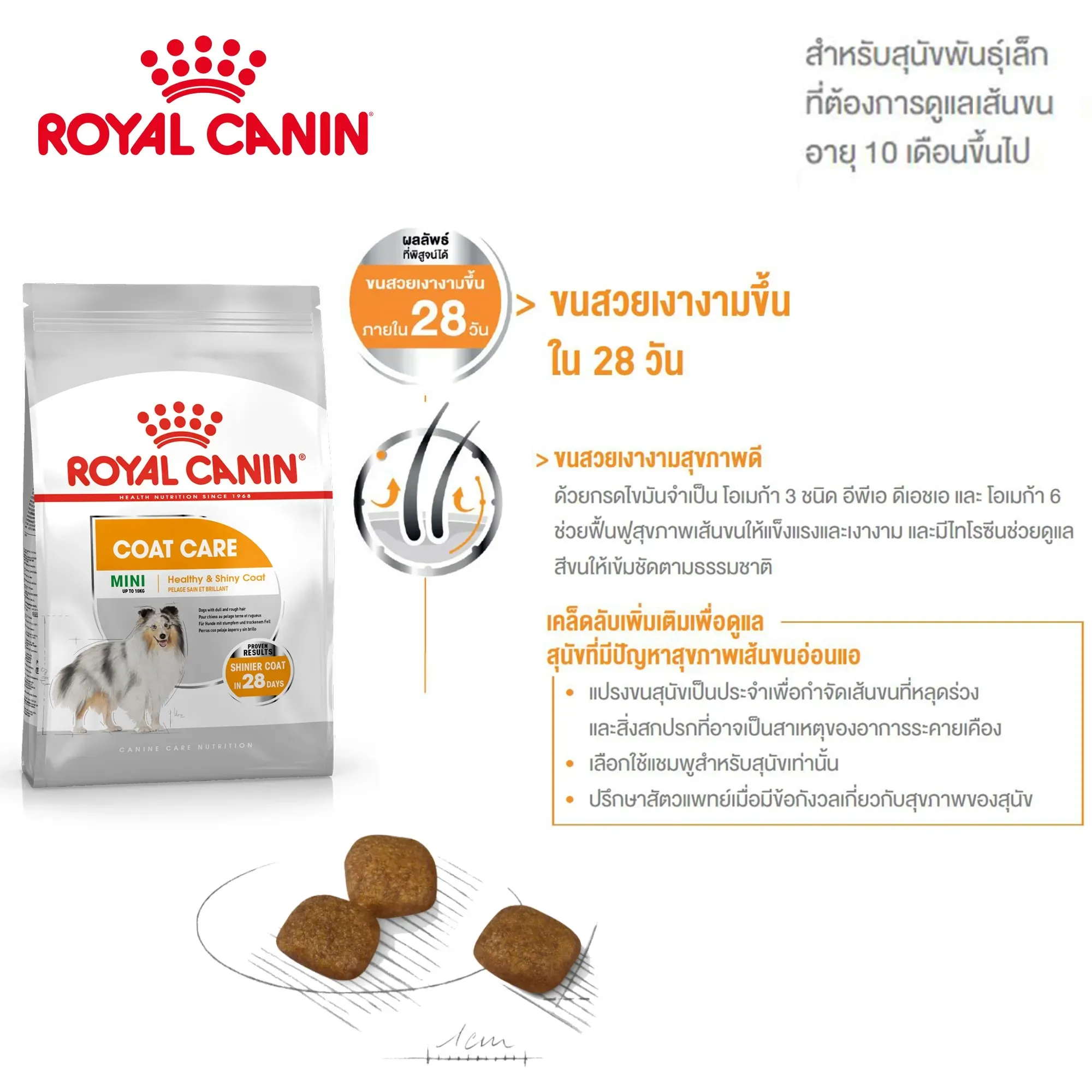 Royal Canin Mini Coat Care Adult อาหารเม็ดสำหรับสุนัขโตพันธุ์เล็ก สูตรบำรุงขน
