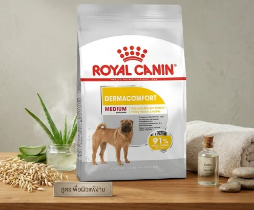 Royal Canin Medium Dermacomfort อาหารเม็ดสำหรับสุนัขโตพันธุ์กลาง สูตรบำรุงขนและผิวแพ้ง่าย