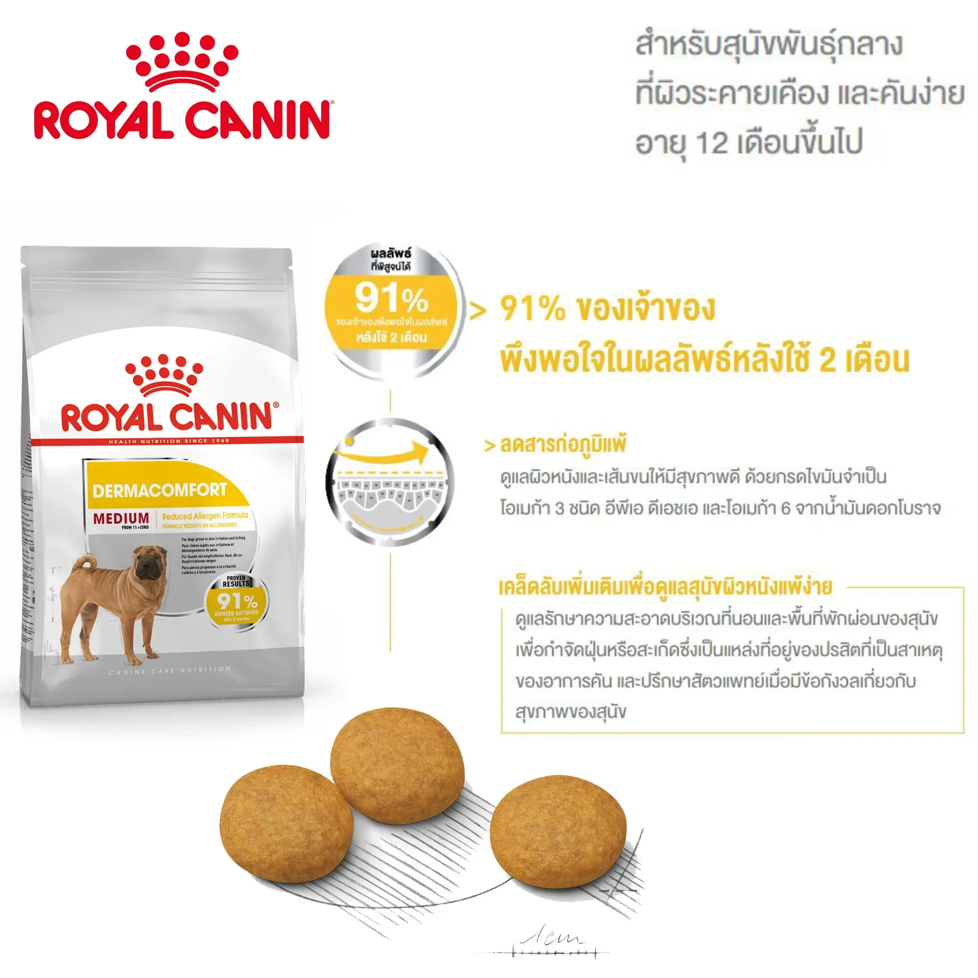 Royal Canin Medium Dermacomfort อาหารเม็ดสำหรับสุนัขโตพันธุ์กลาง สูตรบำรุงขนและผิวแพ้ง่าย
