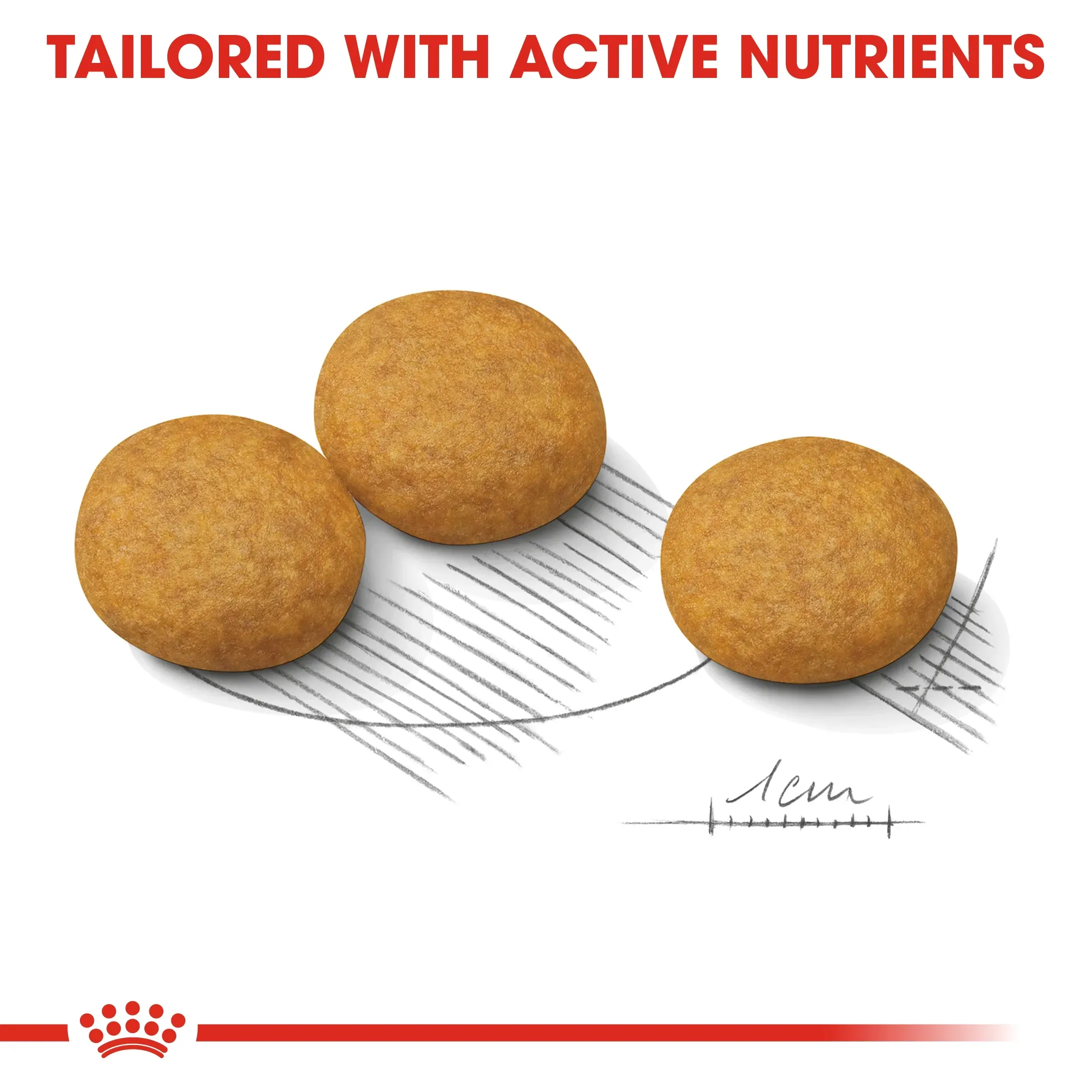 Royal Canin Medium Dermacomfort อาหารเม็ดสำหรับสุนัขโตพันธุ์กลาง สูตรบำรุงขนและผิวแพ้ง่าย