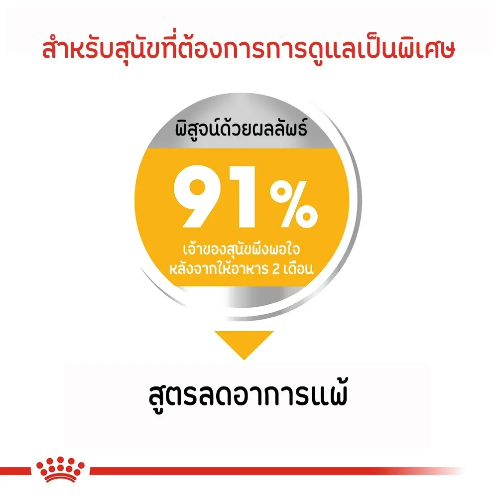 Royal Canin Medium Dermacomfort อาหารเม็ดสำหรับสุนัขโตพันธุ์กลาง สูตรบำรุงขนและผิวแพ้ง่าย