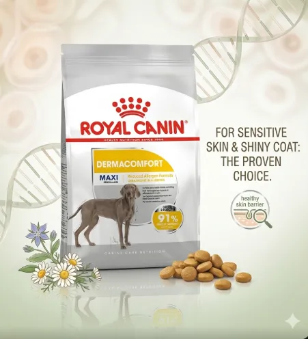 Royal Canin Maxi Dermacomfort อาหารเม็ด สำหรับสุนัขโตพันธุ์ใหญ่ สูตรผิวแพ้ง่าย