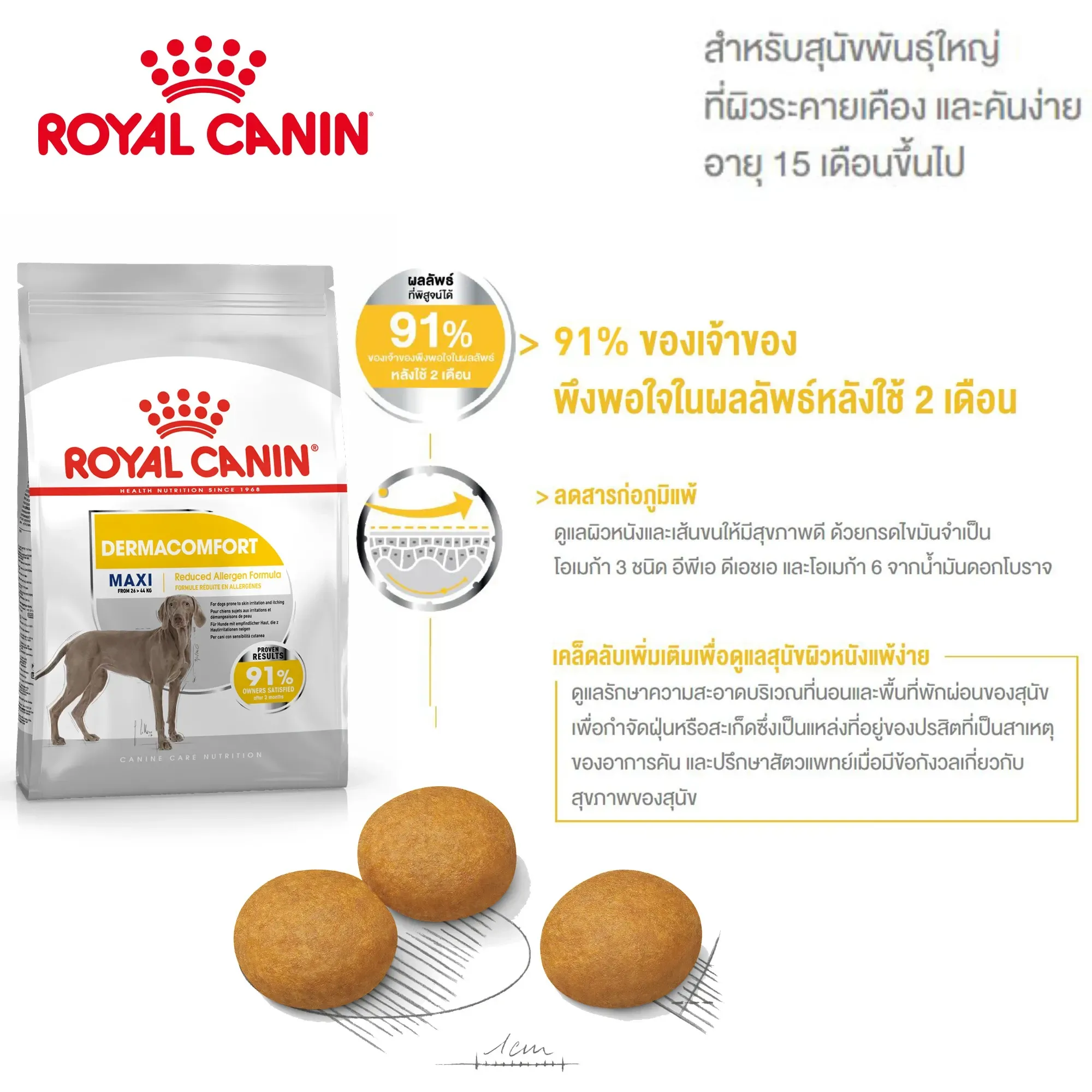 Royal Canin Maxi Dermacomfort อาหารเม็ด สำหรับสุนัขโตพันธุ์ใหญ่ สูตรผิวแพ้ง่าย