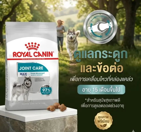 Royal Canin Maxi Joint Care Adult อาหารเม็ดสำหรับสุนัขโตพันธุ์ใหญ่ สูตรบำรุงข้อกระดูก