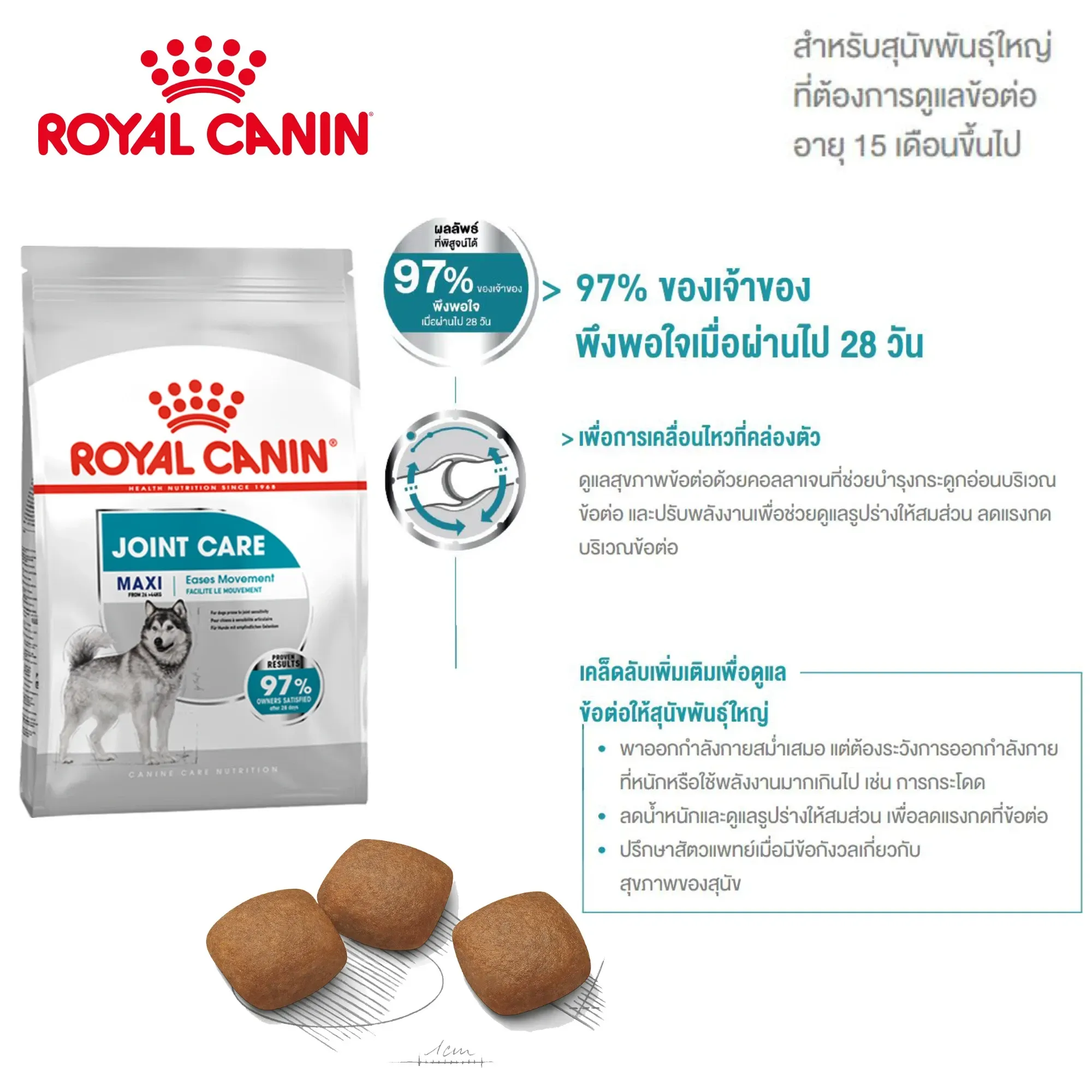 Royal Canin Maxi Joint Care Adult อาหารเม็ดสำหรับสุนัขโตพันธุ์ใหญ่ สูตรบำรุงข้อกระดูก