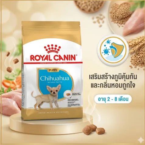 Royal Canin Chihuahua Puppy อาหารเม็ดสำหรับลูกสุนัขพันธุ์ชิวาวา