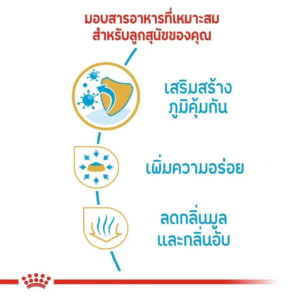 Royal Canin Chihuahua Puppy อาหารเม็ดสำหรับลูกสุนัขพันธุ์ชิวาวา