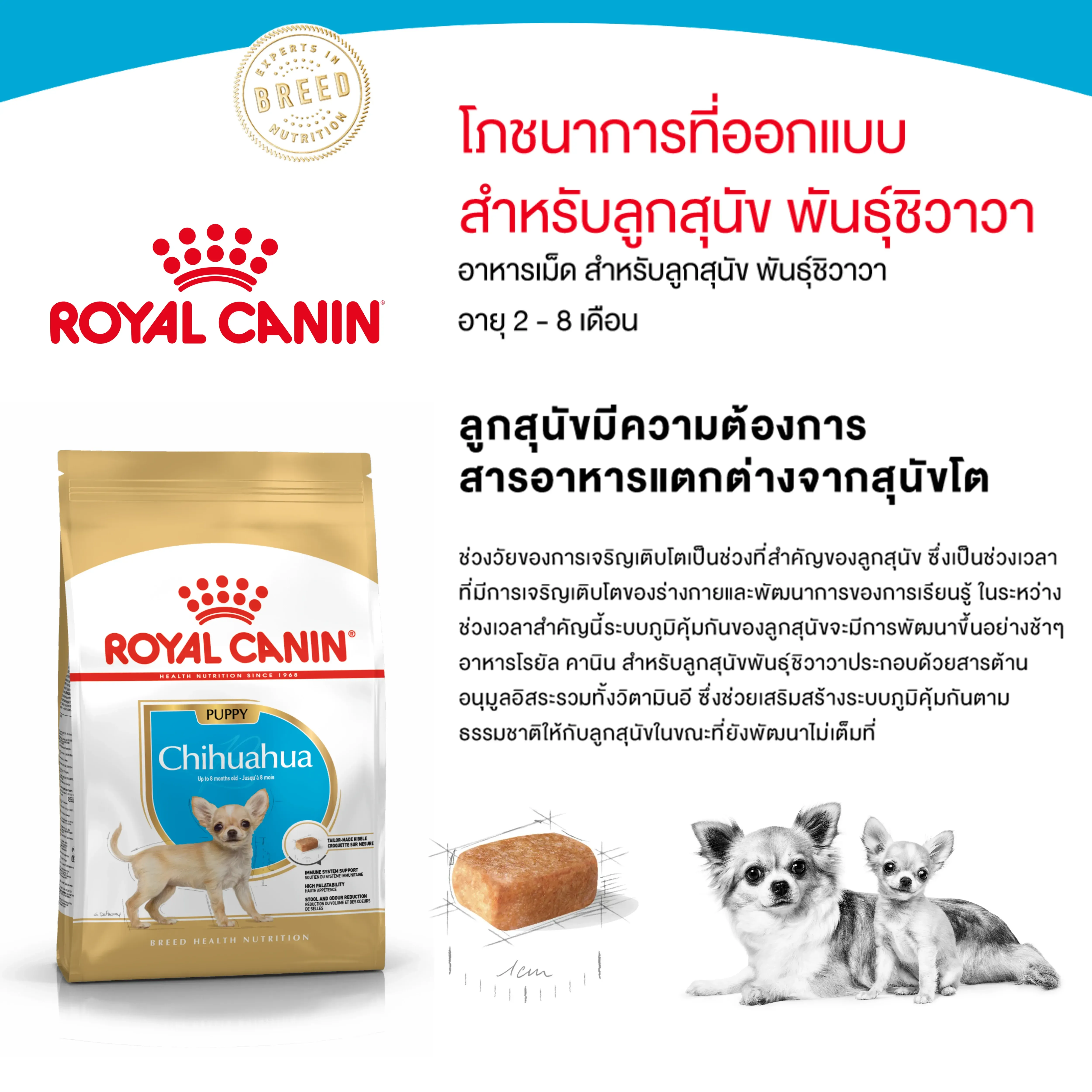 Royal Canin Chihuahua Puppy อาหารเม็ดสำหรับลูกสุนัขพันธุ์ชิวาวา