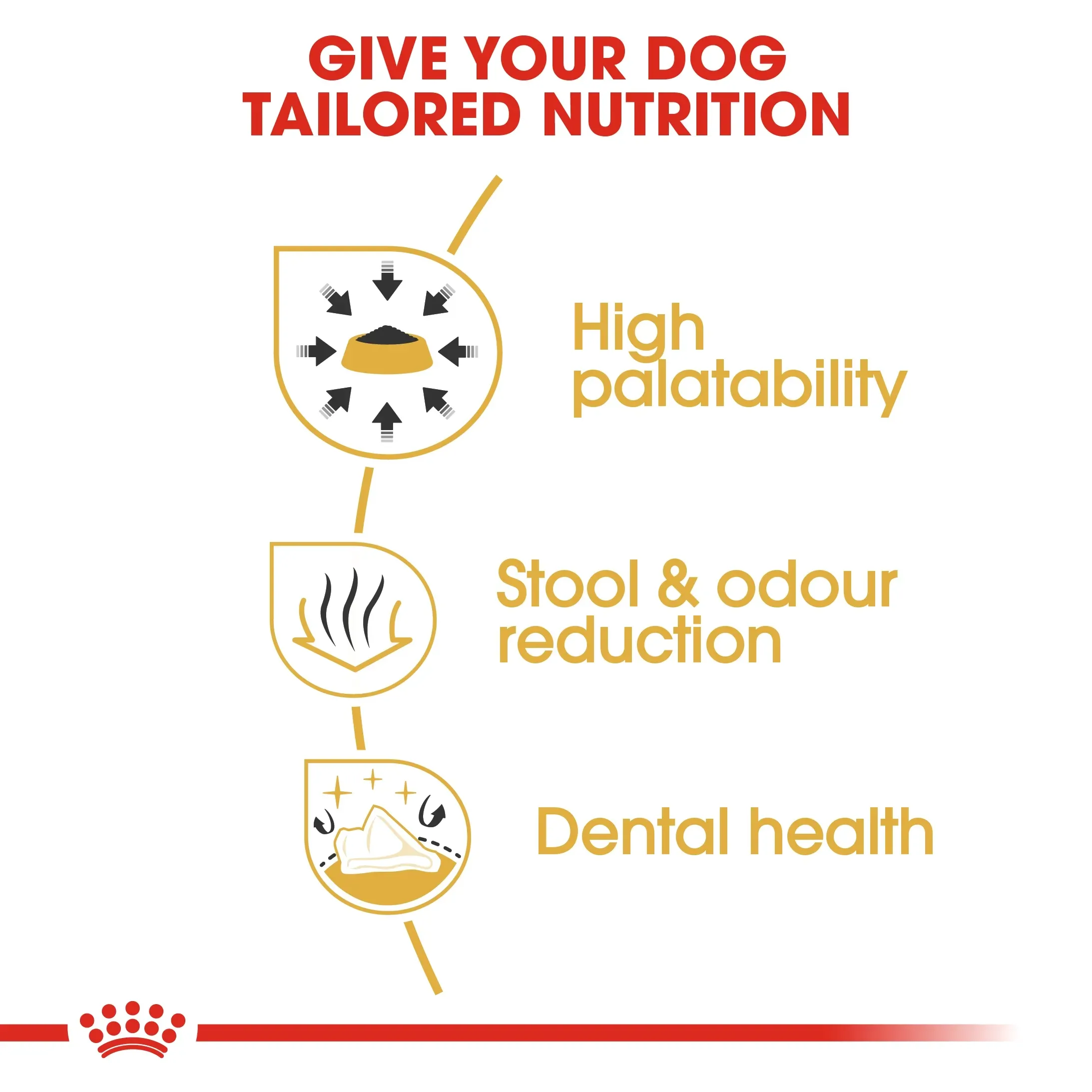Royal Canin Chihuahua Adult อาหารเม็ดสำหรับสุนัขโตพันธุ์ชิวาวา