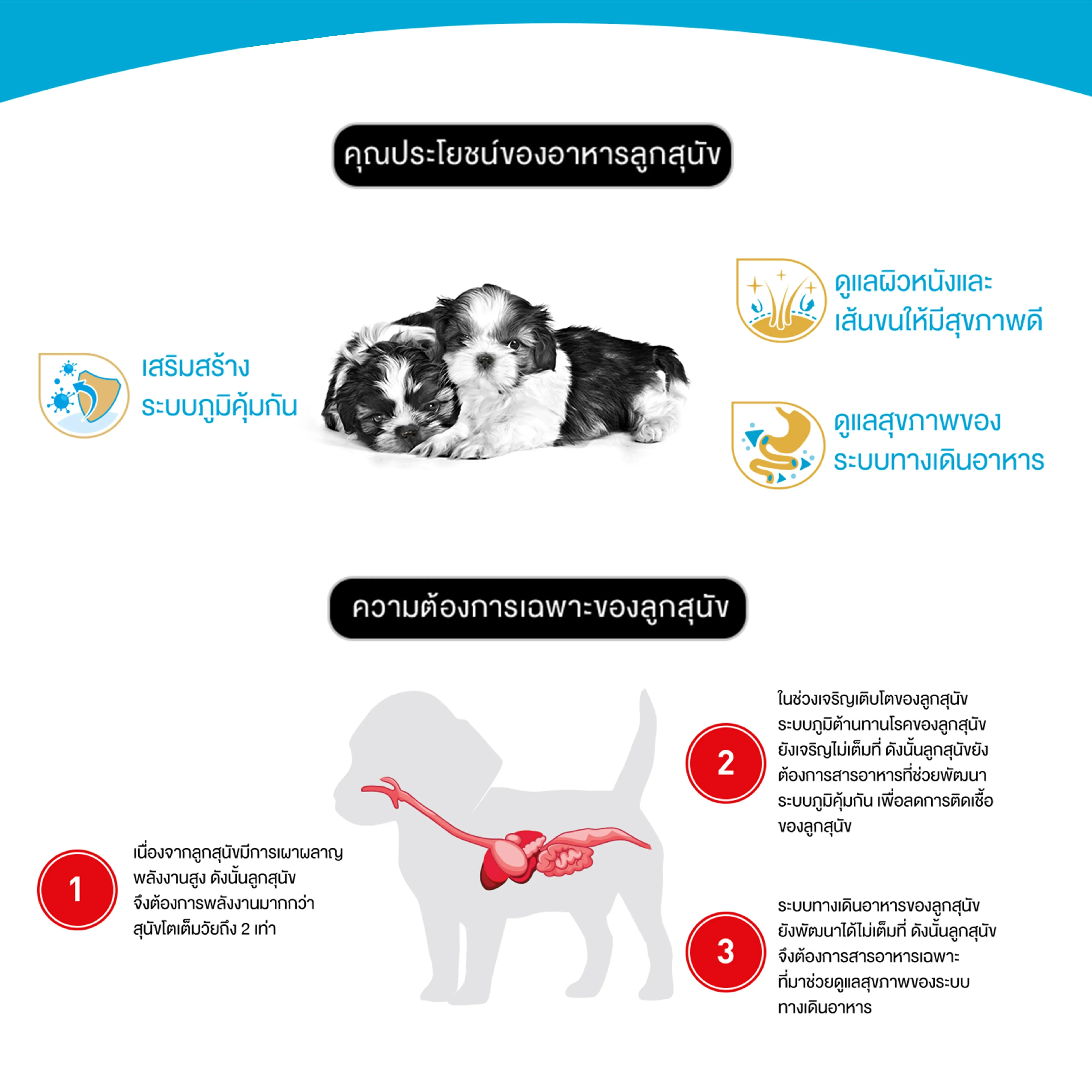 Royal Canin Shih Tzu Puppy อาหารเม็ดสำหรับลูกสุนัขพันธุ์ชิห์สุ