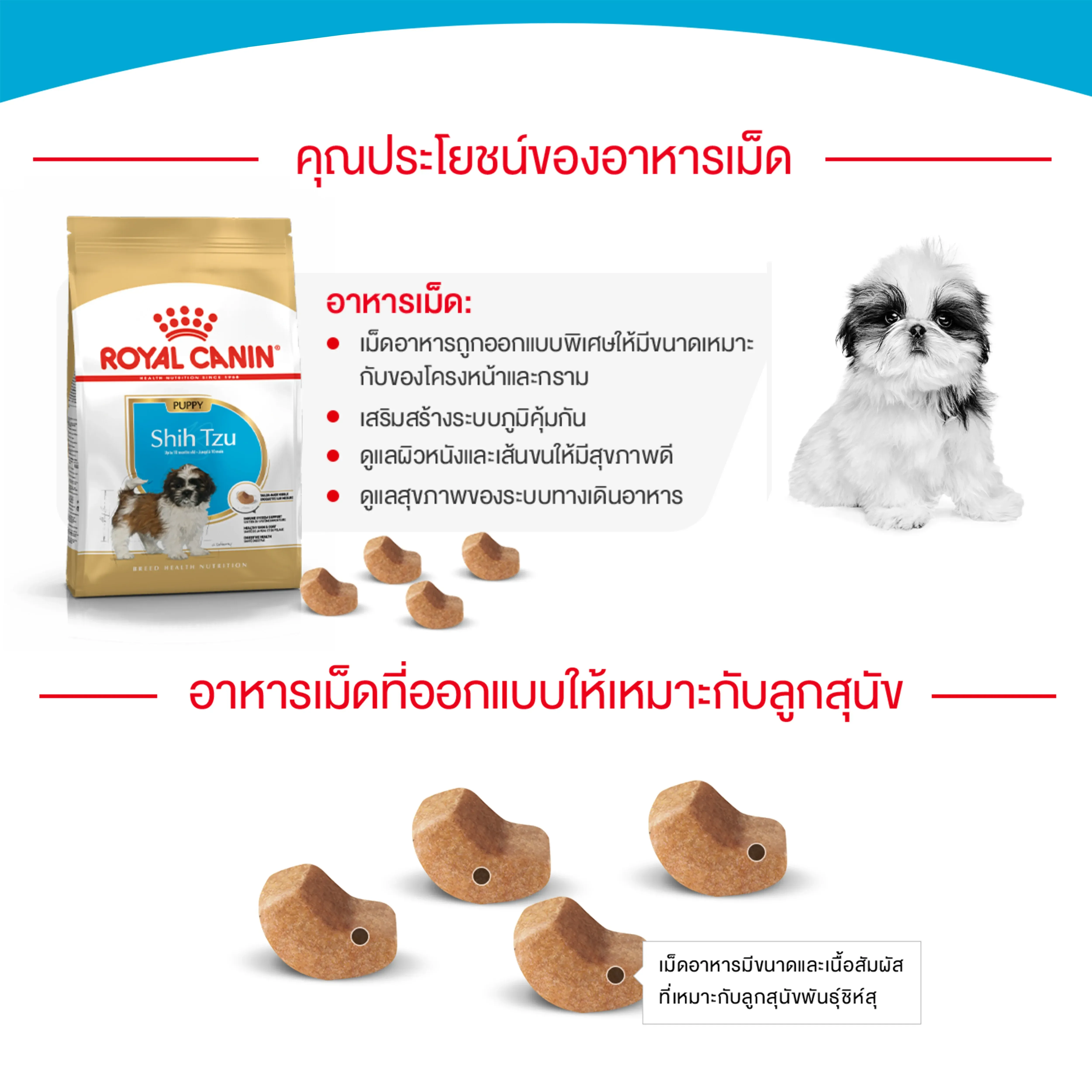 Royal Canin Shih Tzu Puppy อาหารเม็ดสำหรับลูกสุนัขพันธุ์ชิห์สุ