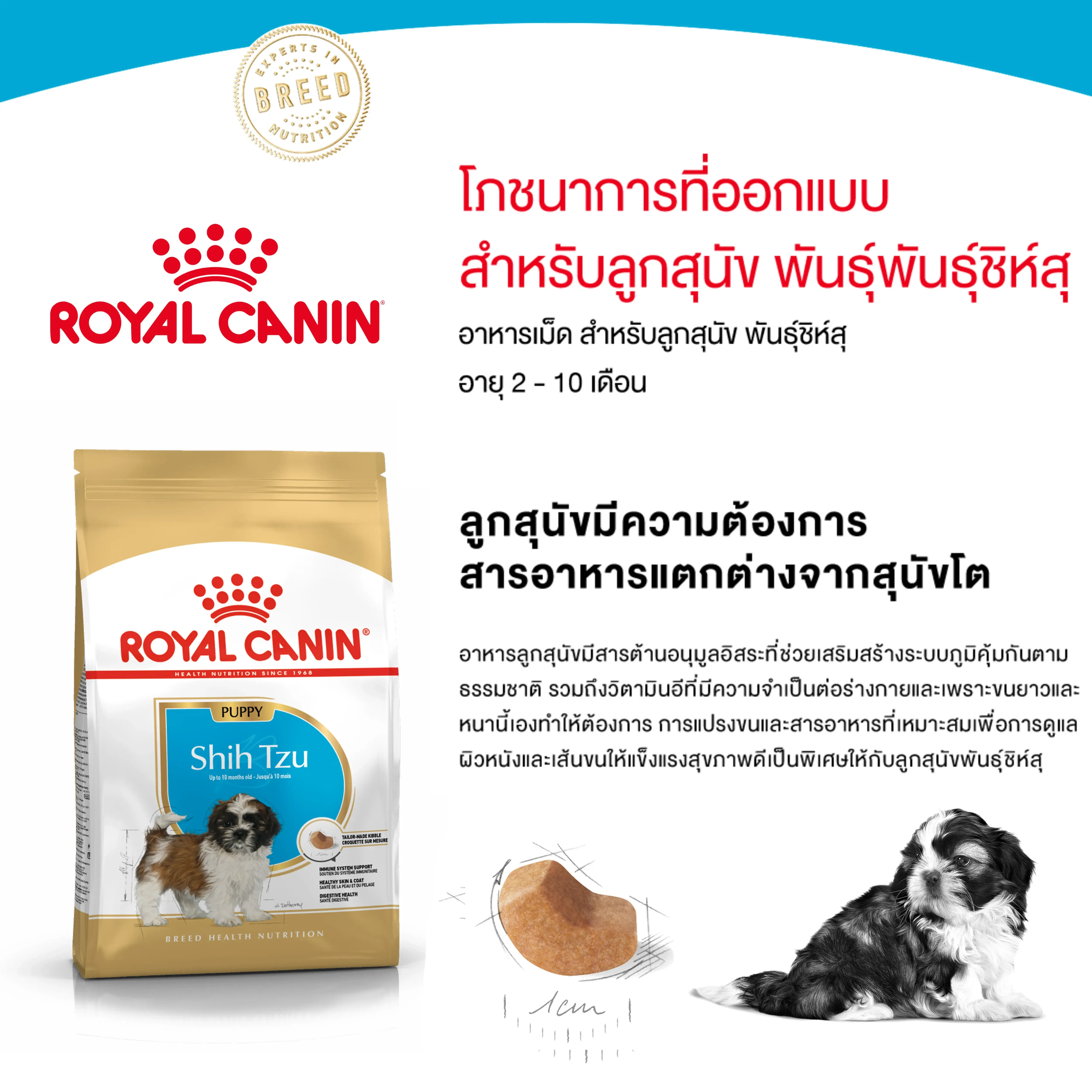 Royal Canin Shih Tzu Puppy อาหารเม็ดสำหรับลูกสุนัขพันธุ์ชิห์สุ