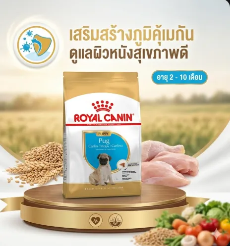 Royal Canin Pug Puppy อาหารเม็ดสำหรับลูกสุนัขพันธุ์ปั๊ก