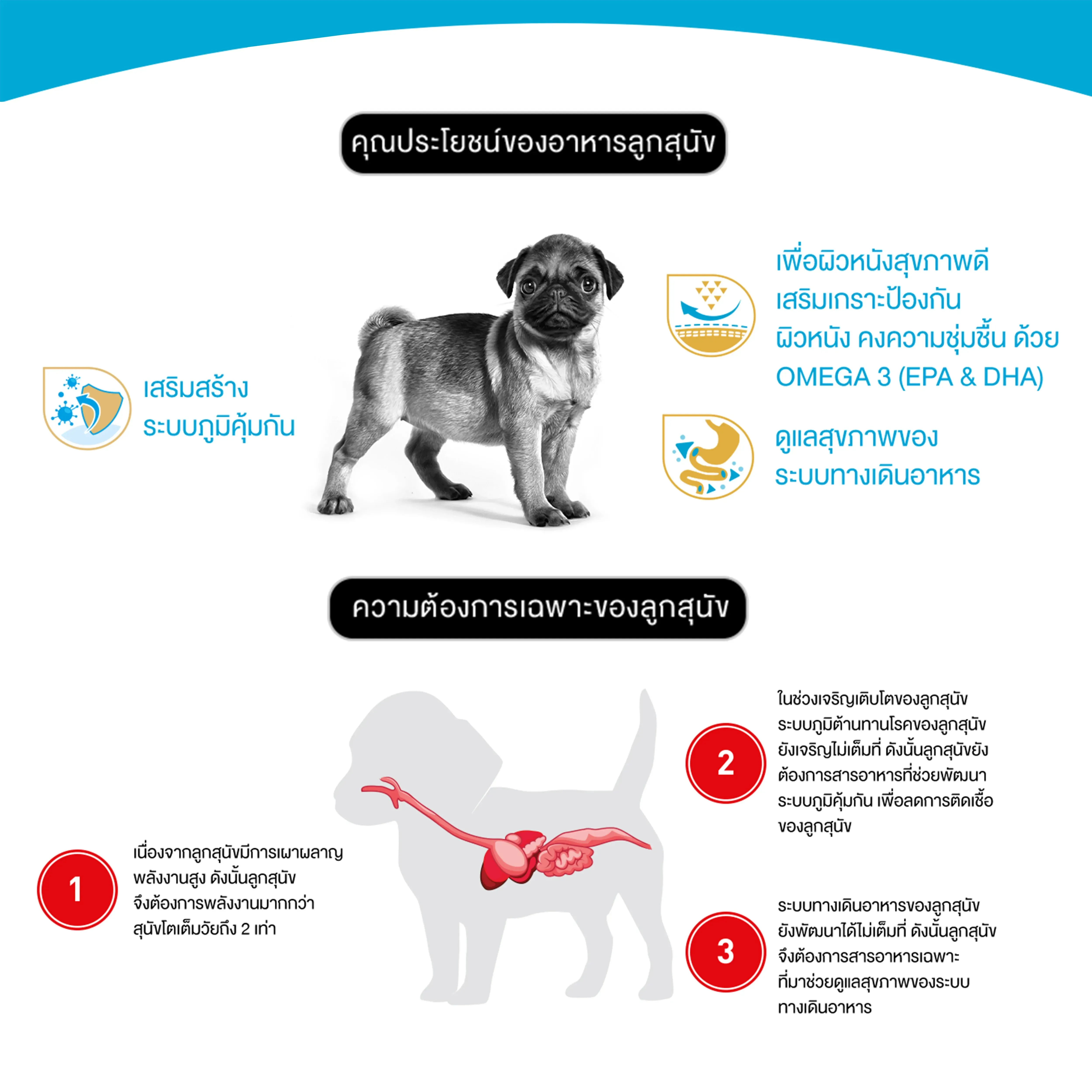 Royal Canin Pug Puppy อาหารเม็ดสำหรับลูกสุนัขพันธุ์ปั๊ก