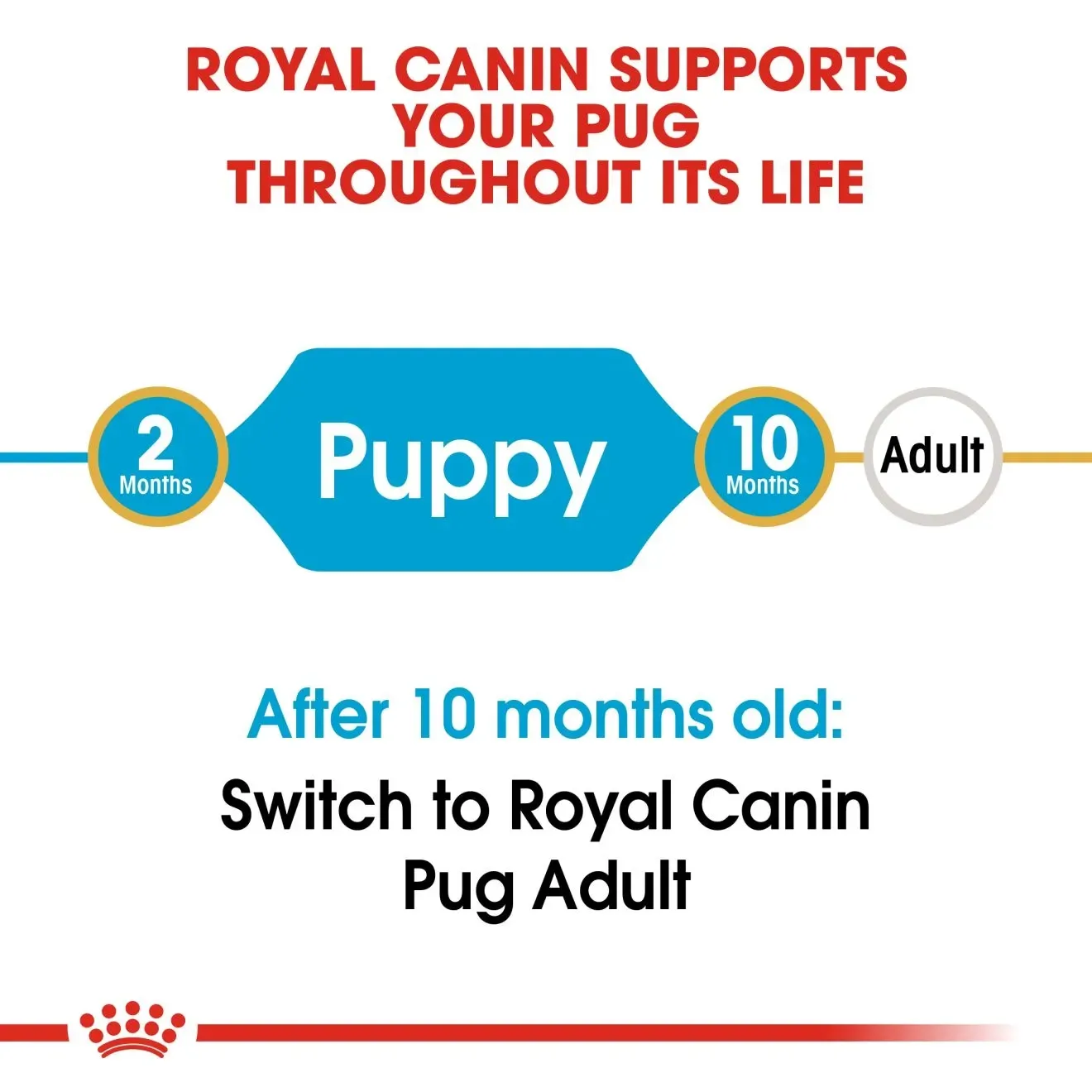 Royal Canin Pug Puppy อาหารเม็ดสำหรับลูกสุนัขพันธุ์ปั๊ก