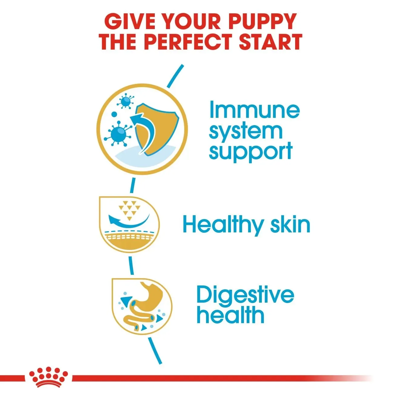 Royal Canin Pug Puppy อาหารเม็ดสำหรับลูกสุนัขพันธุ์ปั๊ก