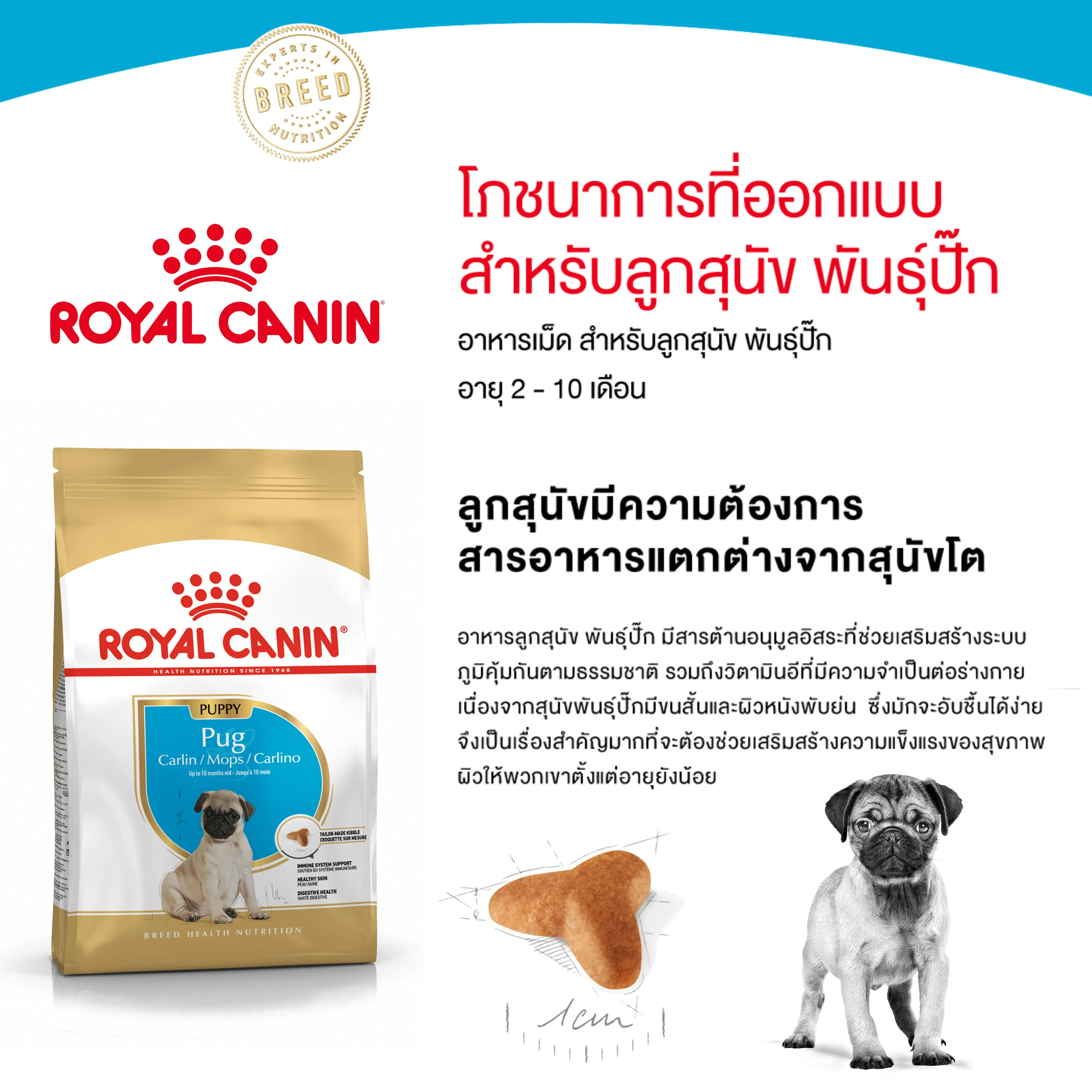 Royal Canin Pug Puppy อาหารเม็ดสำหรับลูกสุนัขพันธุ์ปั๊ก