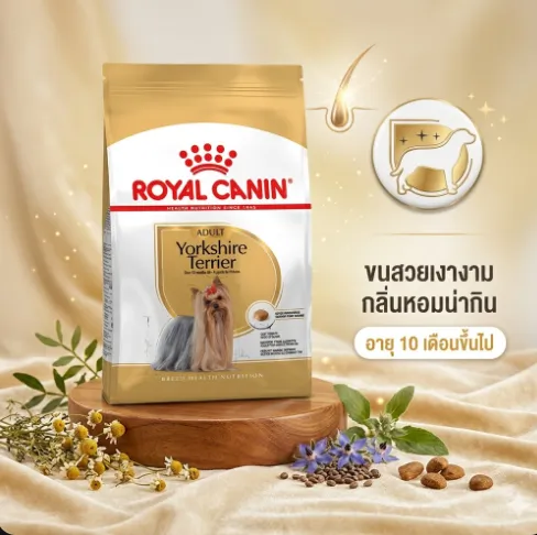 Royal Canin Yorkshire Terrier Adult อาหารเม็ดสุนัขโตพันธุ์ยอร์คไชร์ เทอร์เรีย