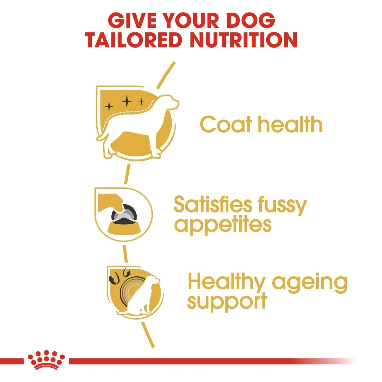 Royal Canin Yorkshire Terrier Adult อาหารเม็ดสุนัขโตพันธุ์ยอร์คไชร์ เทอร์เรีย