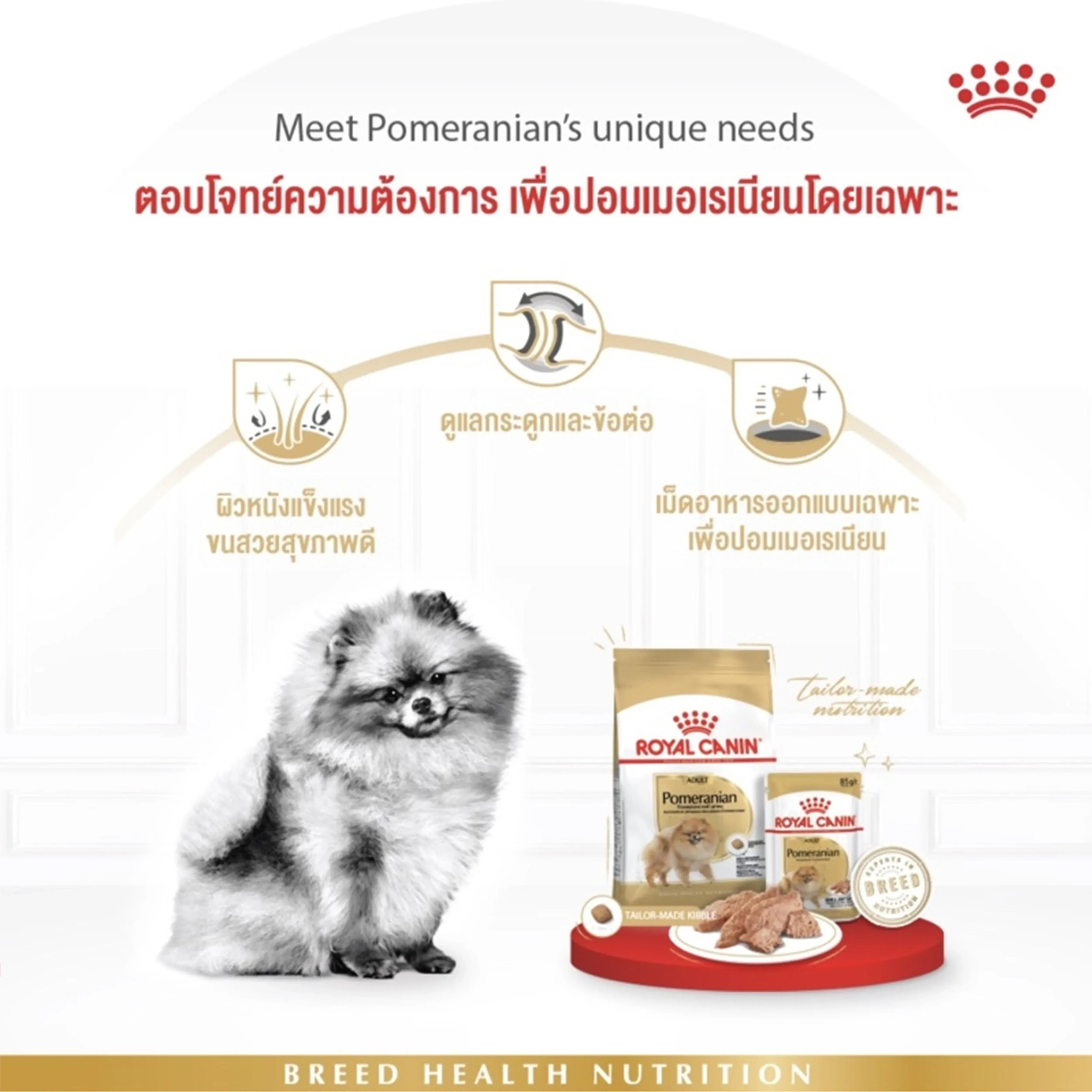 Royal Canin Pomeranian Adult อาหารเม็ดสำหรับสุนัขโตพันธุ์ปอมเมอเรเนียน