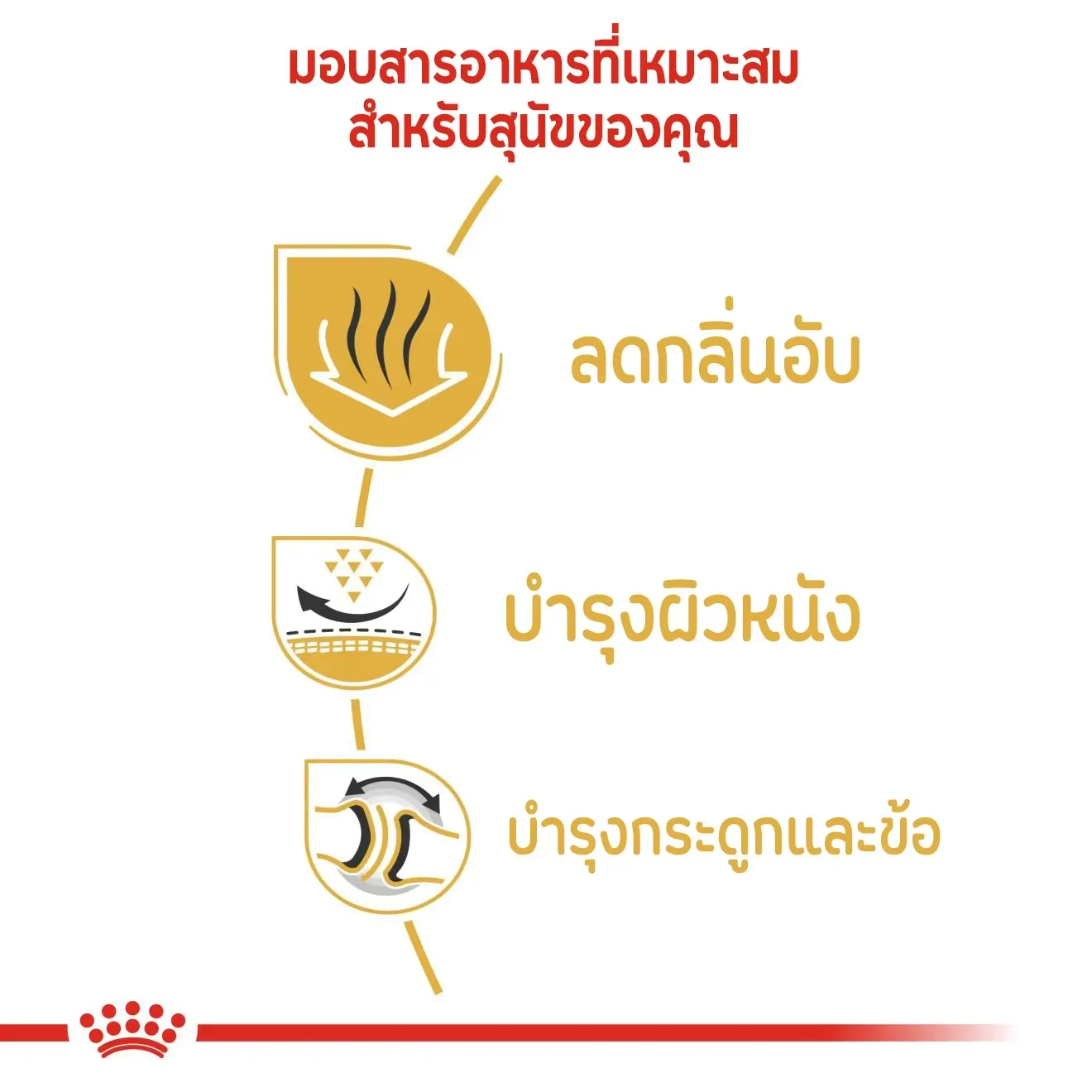 Royal Canin Bulldog Adult อาหารเม็ดสำหรับสุนัขโตพันธุ์บูลด็อก