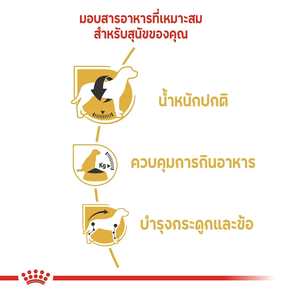 Royal Canin Beagle Adult อาหารเม็ดสำหรับสุนัขโตพันธุ์บีเกิ้ล