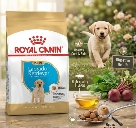 Royal Canin Labrador Retrieve Puppy อาหารเม็ดสำหรับลูกสุนัขพันธุ์ลาบราดอร์รีทรีฟเวอร์