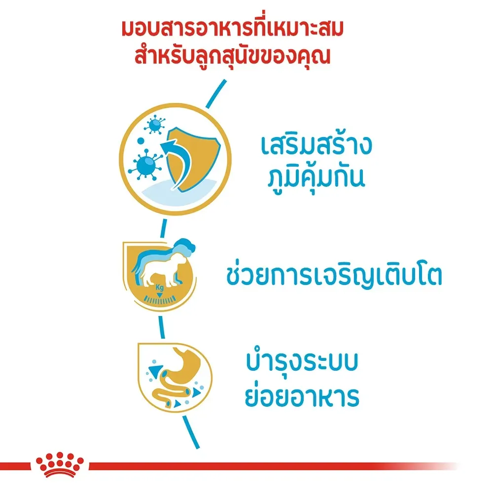 Royal Canin Labrador Retrieve Puppy อาหารเม็ดสำหรับลูกสุนัขพันธุ์ลาบราดอร์รีทรีฟเวอร์