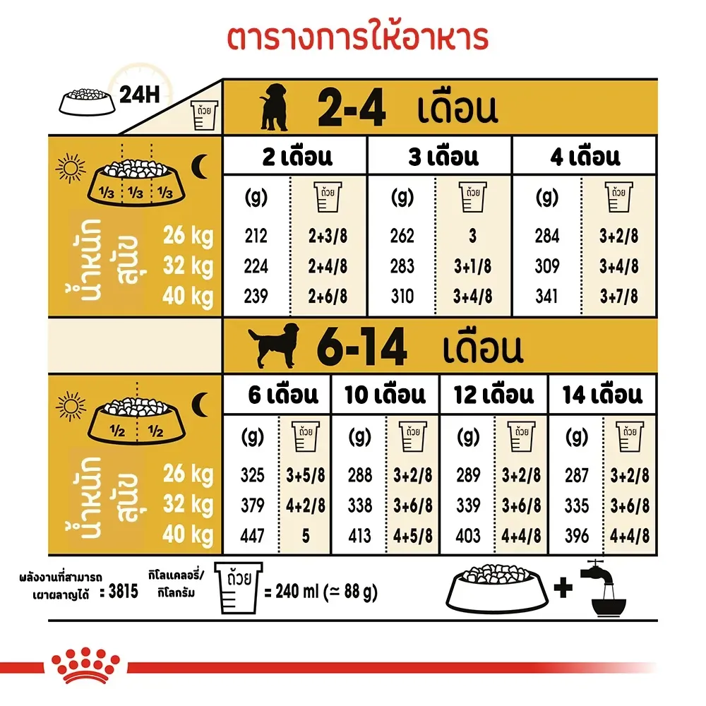 Royal Canin Labrador Retrieve Puppy อาหารเม็ดสำหรับลูกสุนัขพันธุ์ลาบราดอร์รีทรีฟเวอร์