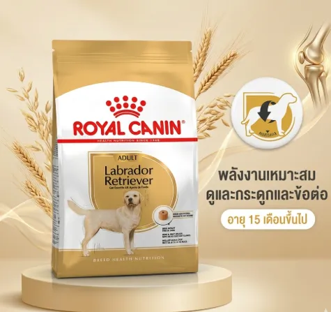 Royal Canin Labrador Retriever Adult อาหารเม็ดสำหรับสุนัขโตพันธุ์ลาบราดอร์รีทรีฟเวอร์