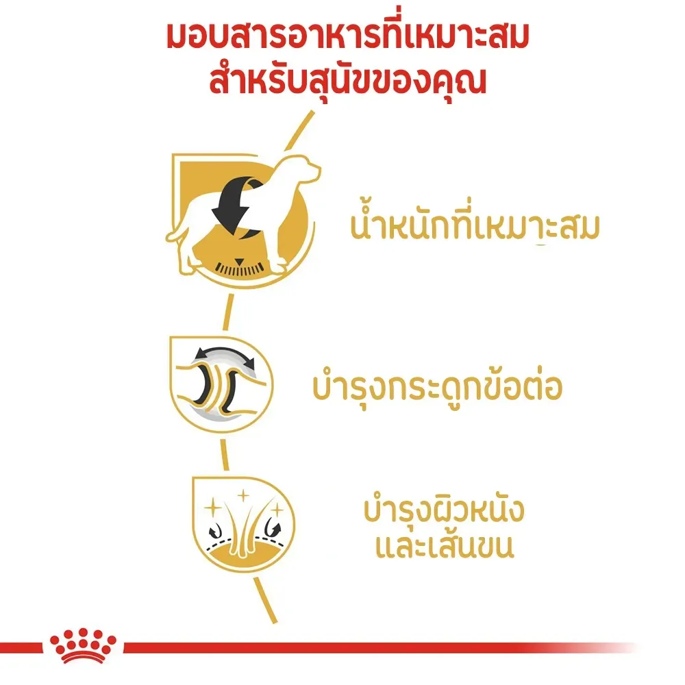 Royal Canin Labrador Retriever Adult อาหารเม็ดสำหรับสุนัขโตพันธุ์ลาบราดอร์รีทรีฟเวอร์