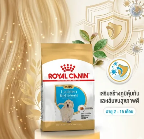 Royal Canin Golden Retriever Puppy อาหารเม็ดสำหรับลูกสุนัขพันธุ์โกลเด้นรีทรีฟเวอร์