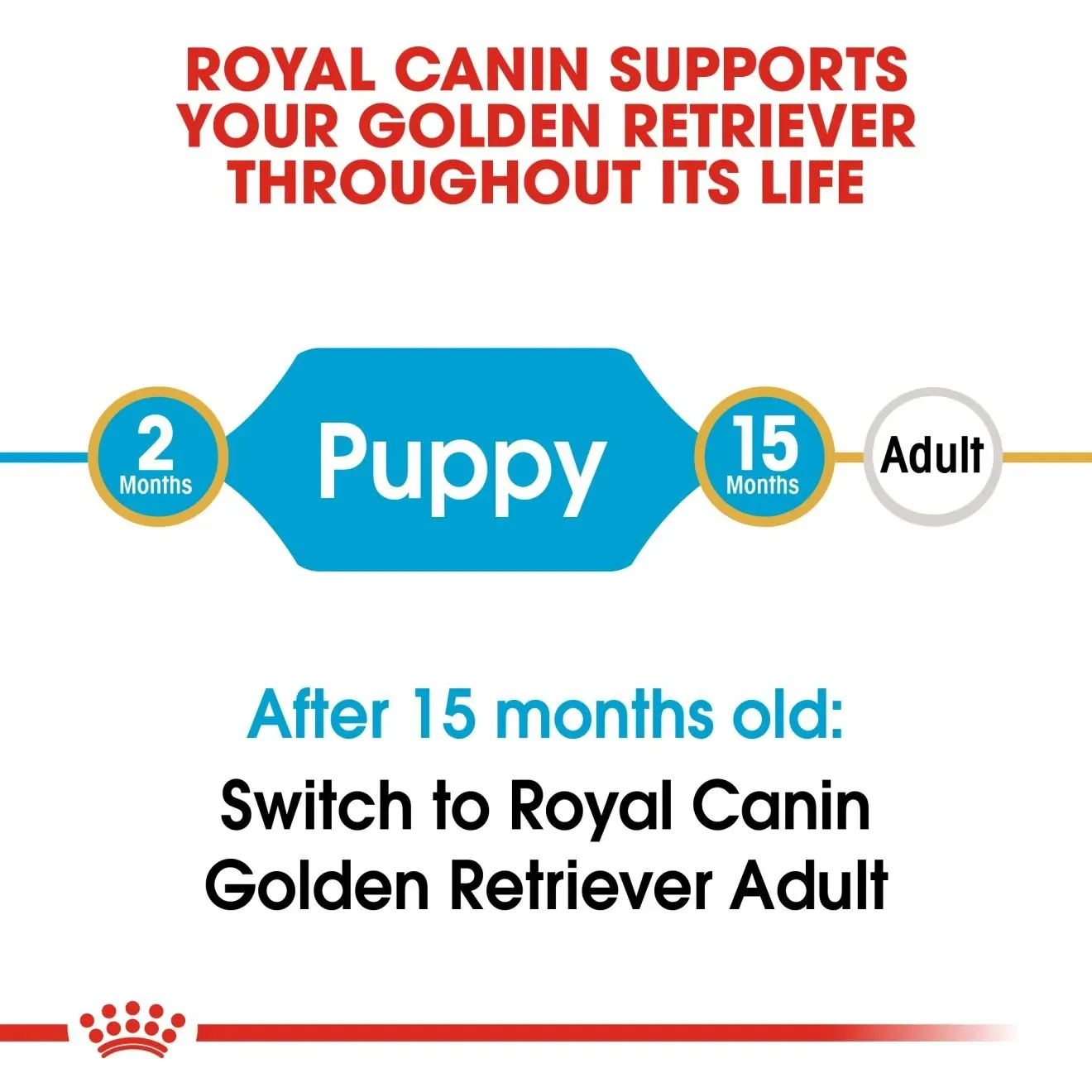 Royal Canin Golden Retriever Puppy อาหารเม็ดสำหรับลูกสุนัขพันธุ์โกลเด้นรีทรีฟเวอร์