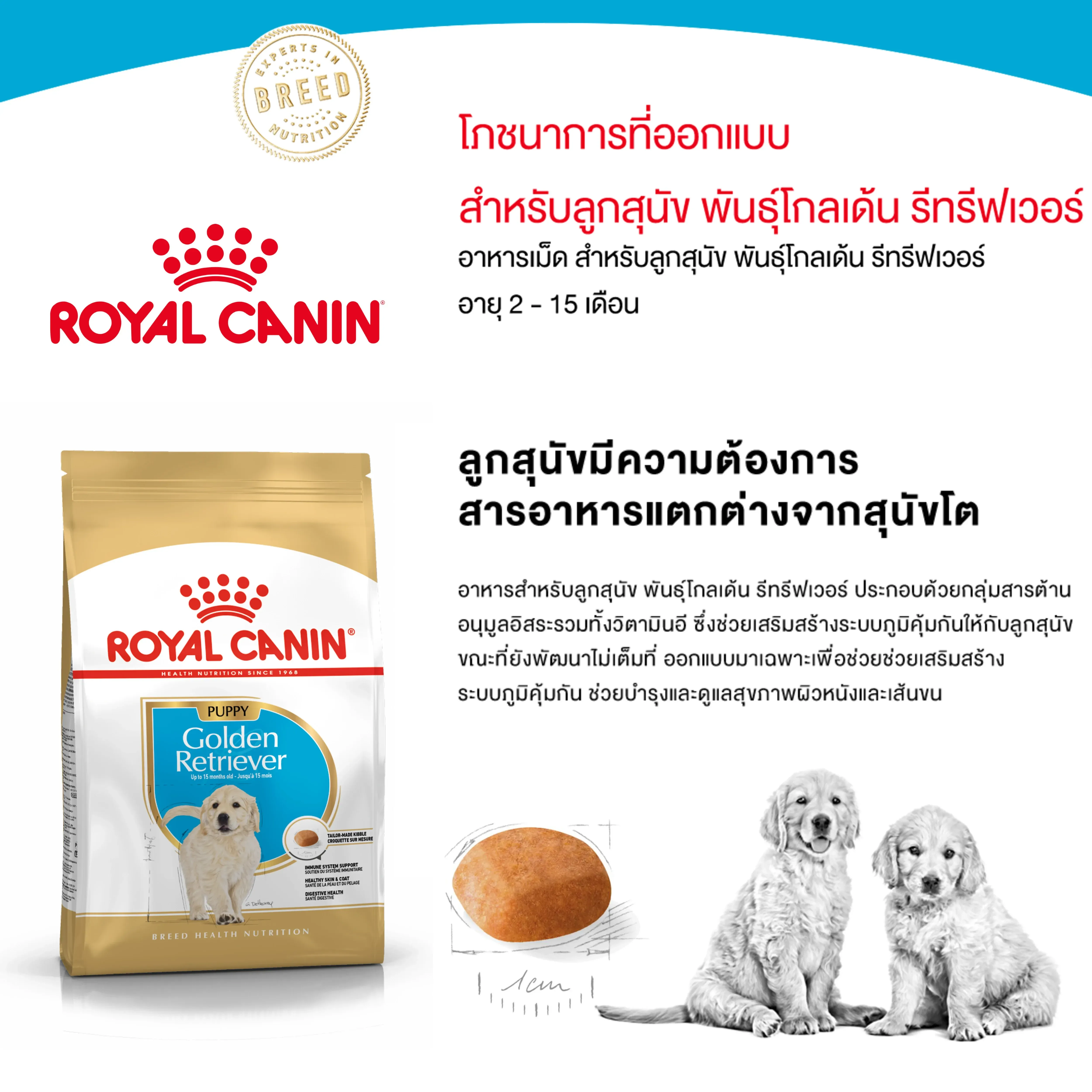 Royal Canin Golden Retriever Puppy อาหารเม็ดสำหรับลูกสุนัขพันธุ์โกลเด้นรีทรีฟเวอร์