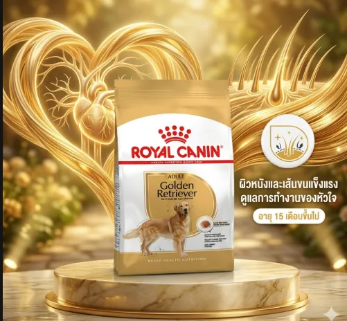 Royal Canin Golden Retriever Adult อาหารเม็ดสำหรับสุนัขโตพันธุ์โกลเด้นรีทรีฟเวอร์
