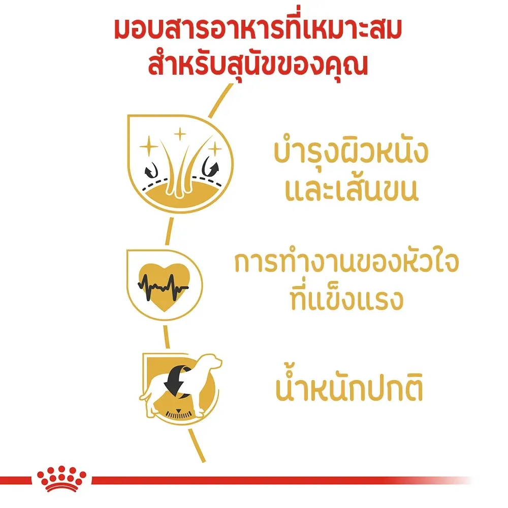 Royal Canin Golden Retriever Adult อาหารเม็ดสำหรับสุนัขโตพันธุ์โกลเด้นรีทรีฟเวอร์