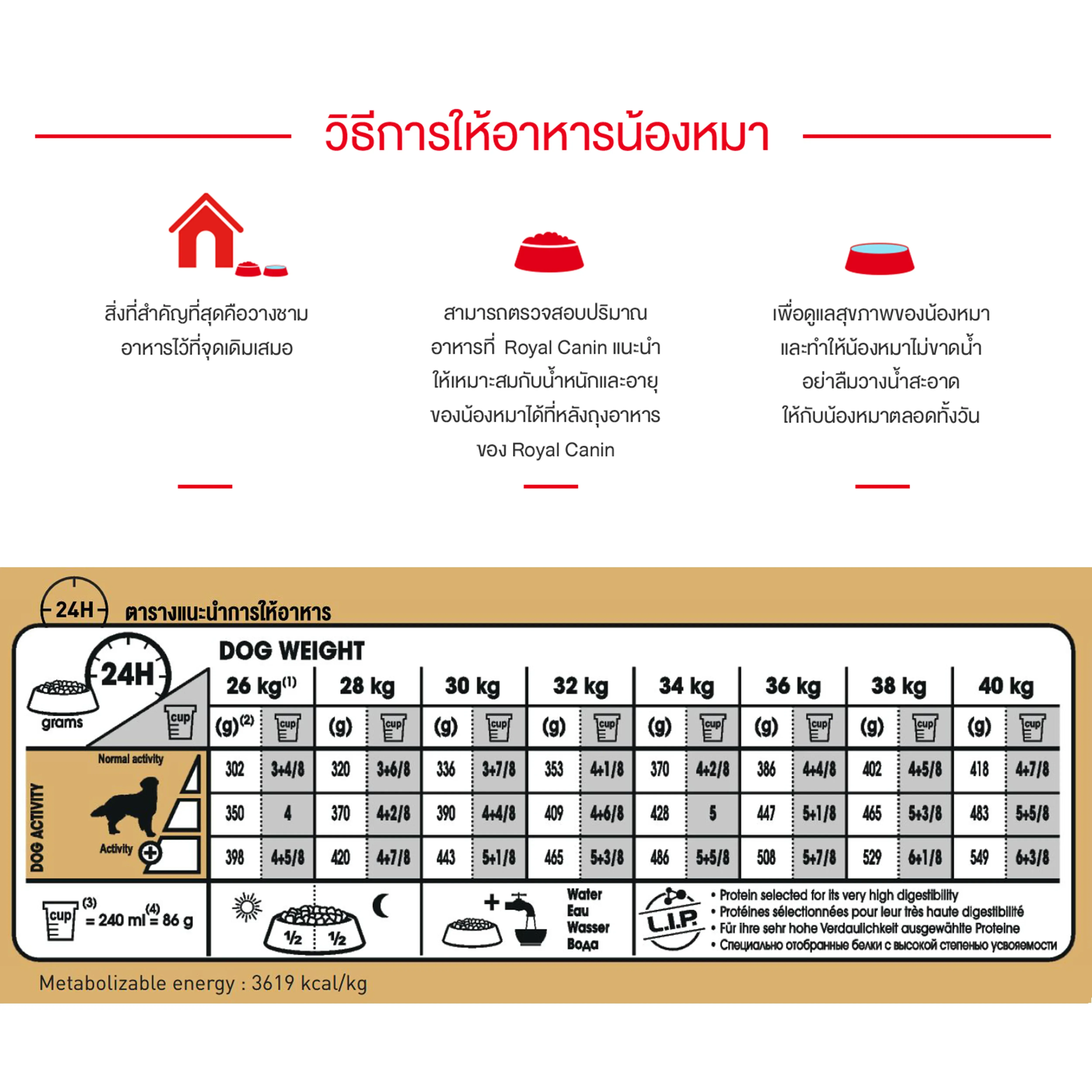 Royal Canin Golden Retriever Adult อาหารเม็ดสำหรับสุนัขโตพันธุ์โกลเด้นรีทรีฟเวอร์