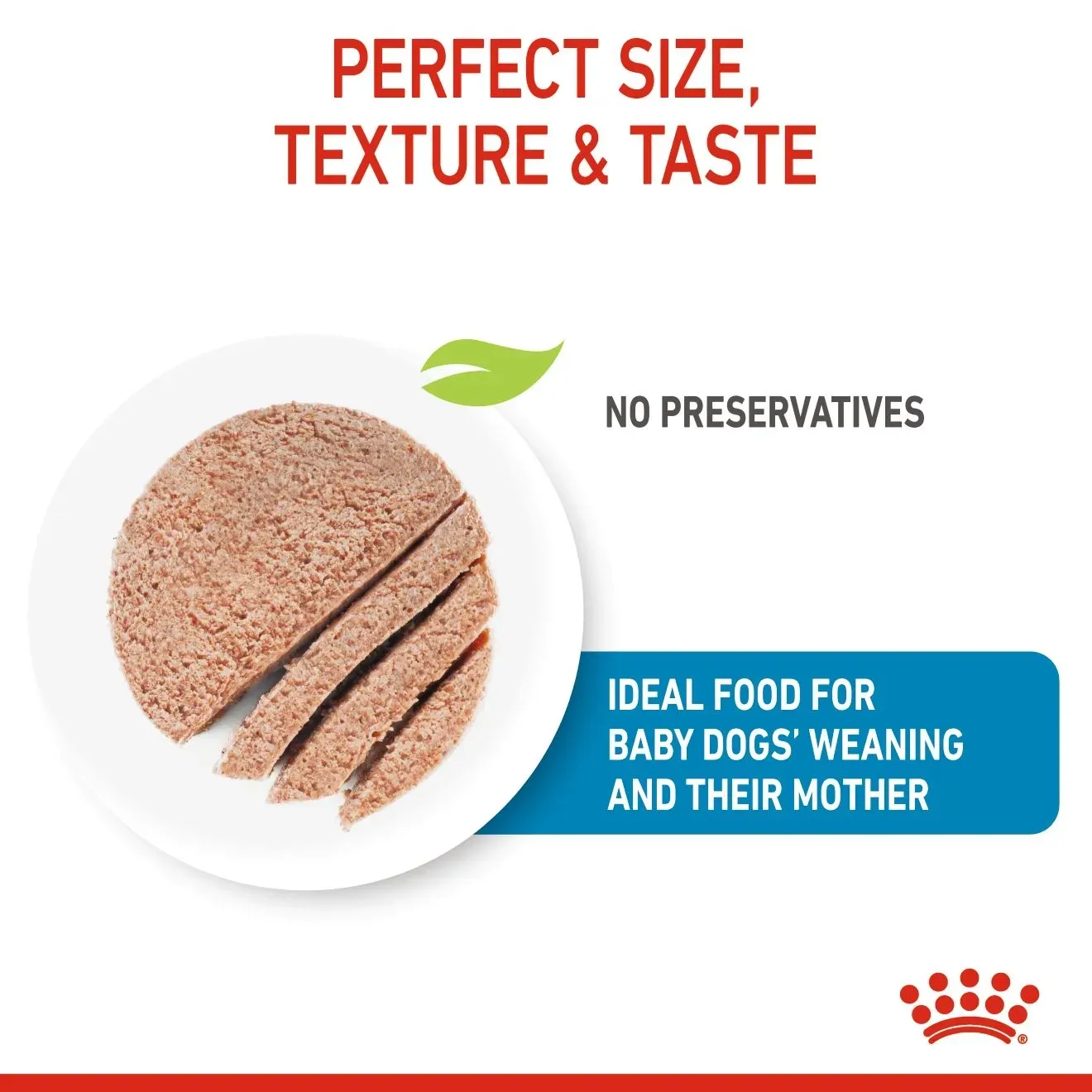 Royal Canin Starter Mousse Can อาหารเปียกสุนัขกระป๋อง สูตรสำหรับแม่สุนัขและลูกสุนัข 195 g
