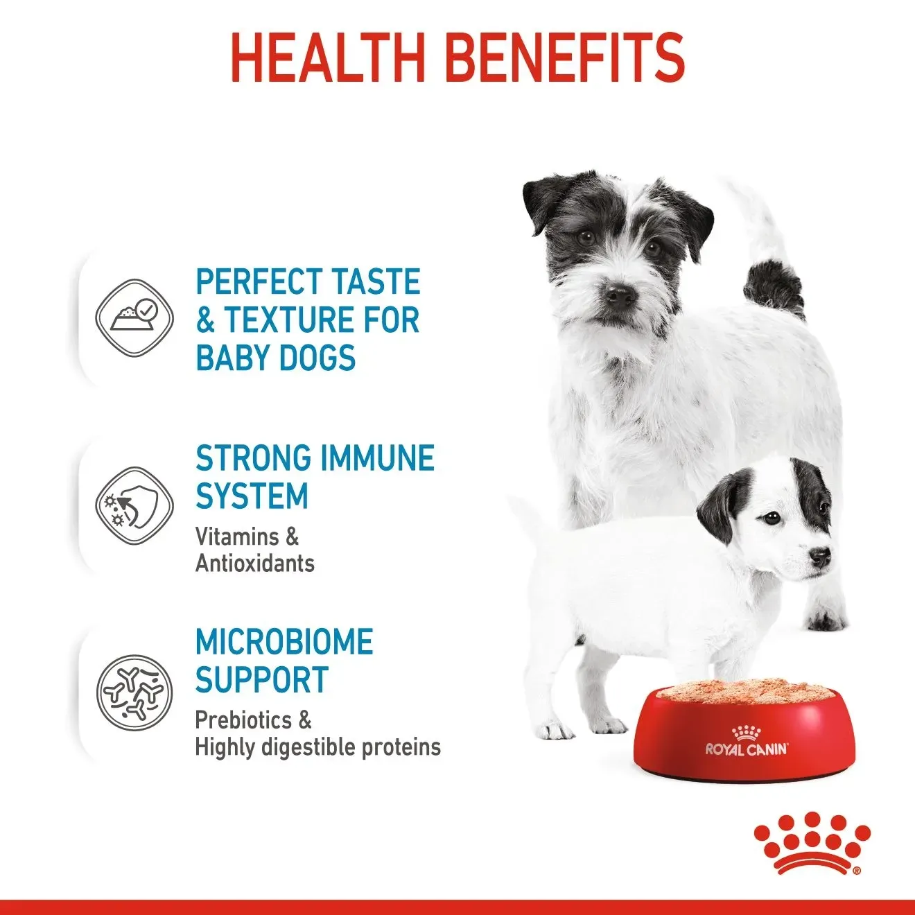 Royal Canin Starter Mousse Can อาหารเปียกสุนัขกระป๋อง สูตรสำหรับแม่สุนัขและลูกสุนัข 195 g