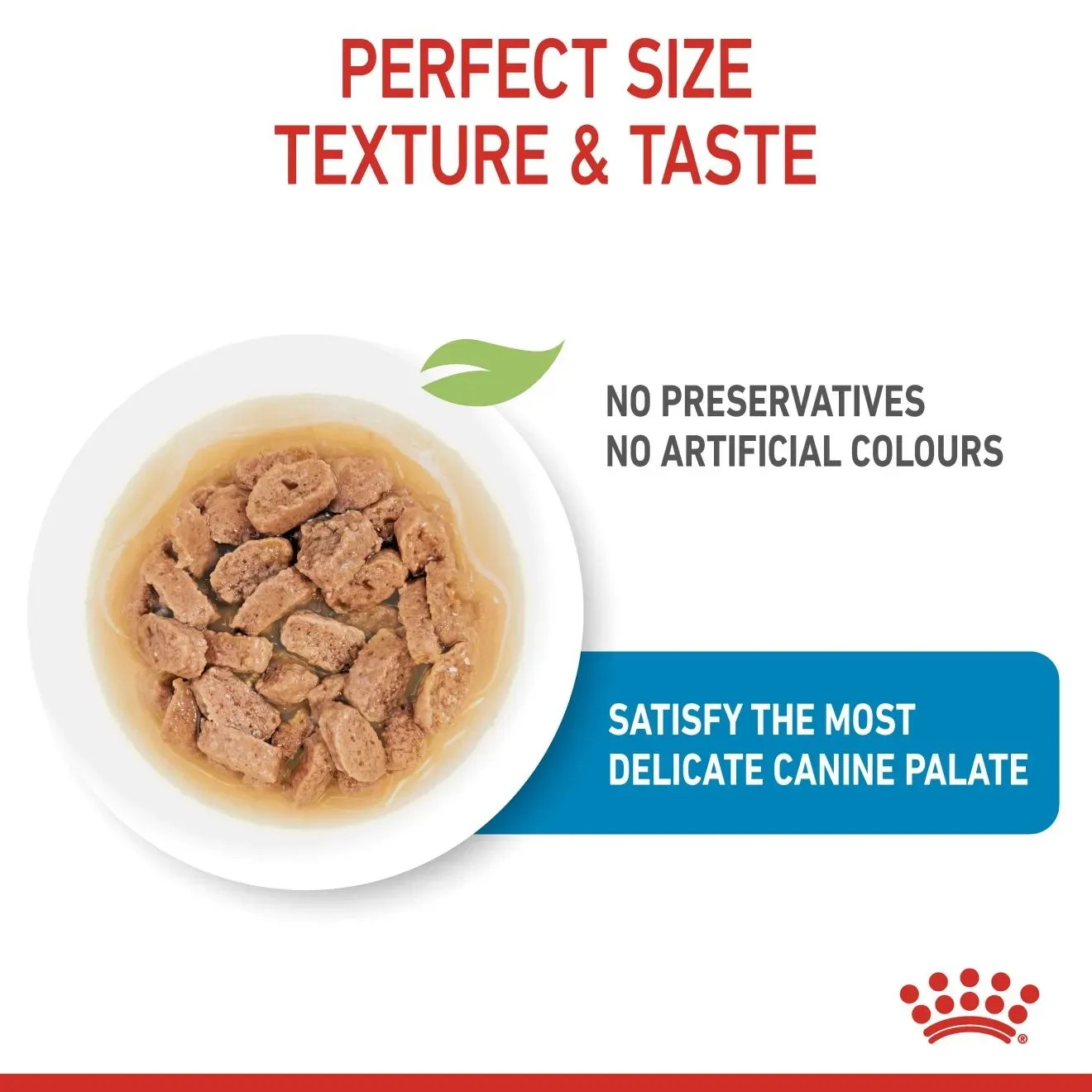 Royal Canin Pouch อาหารเปียกสุนัข สูตร Mini Puppy สำหรับลูกสุนัขพันธุ์เล็ก 85g
